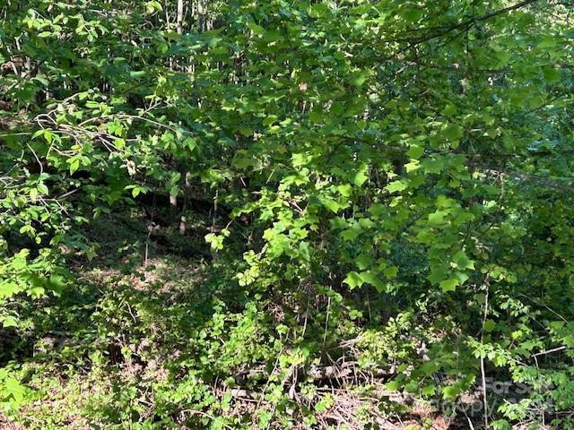 0 Arbra Mountain Way - Photo 6