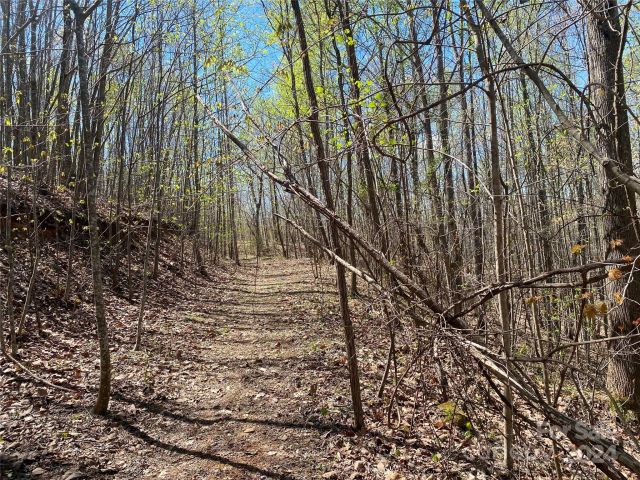 Lots 8,9 Wild Horse Drive