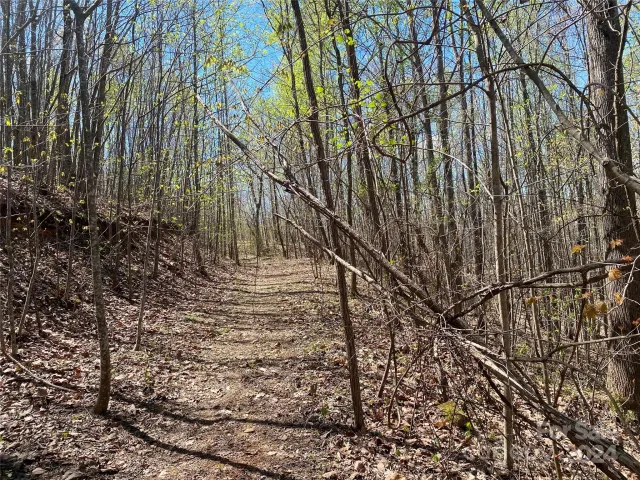 Lots 8,9 Wild Horse Drive, Nebo, NC, 28761