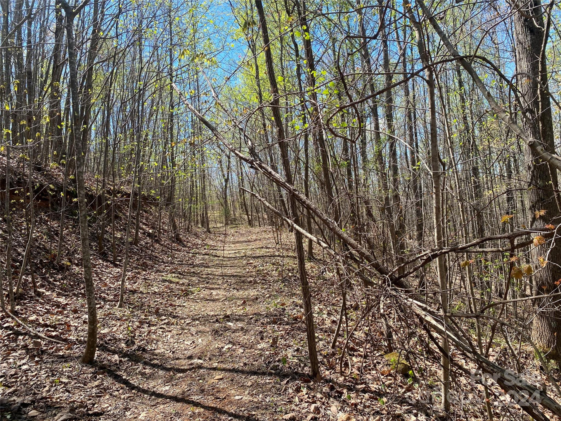 Lots 8,9 Wild Horse Drive