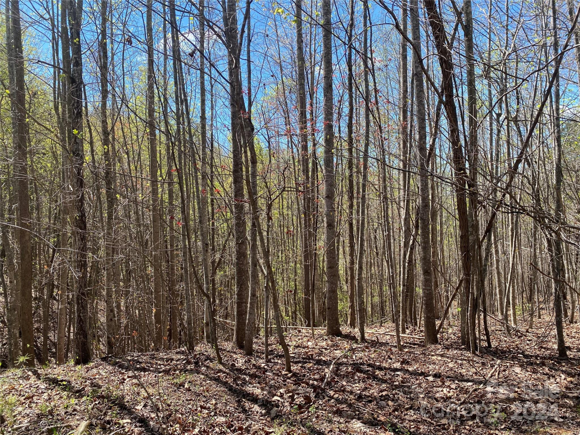 Lots 8,9 Wild Horse Drive - Photo 13