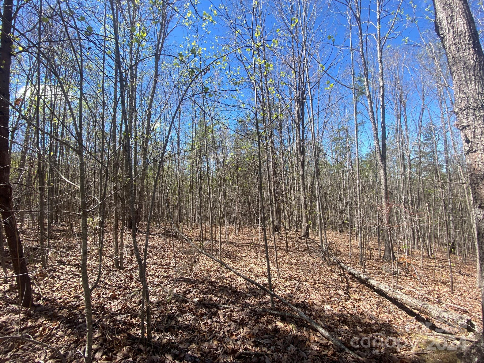 Lots 8,9 Wild Horse Drive - Photo 14