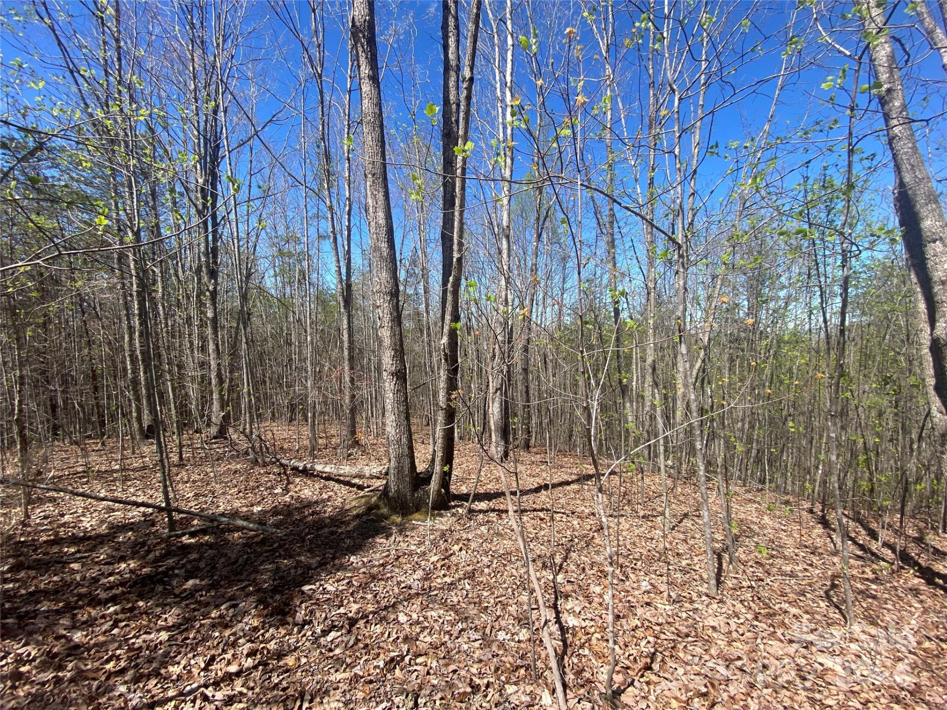 Lots 8,9 Wild Horse Drive - Photo 16