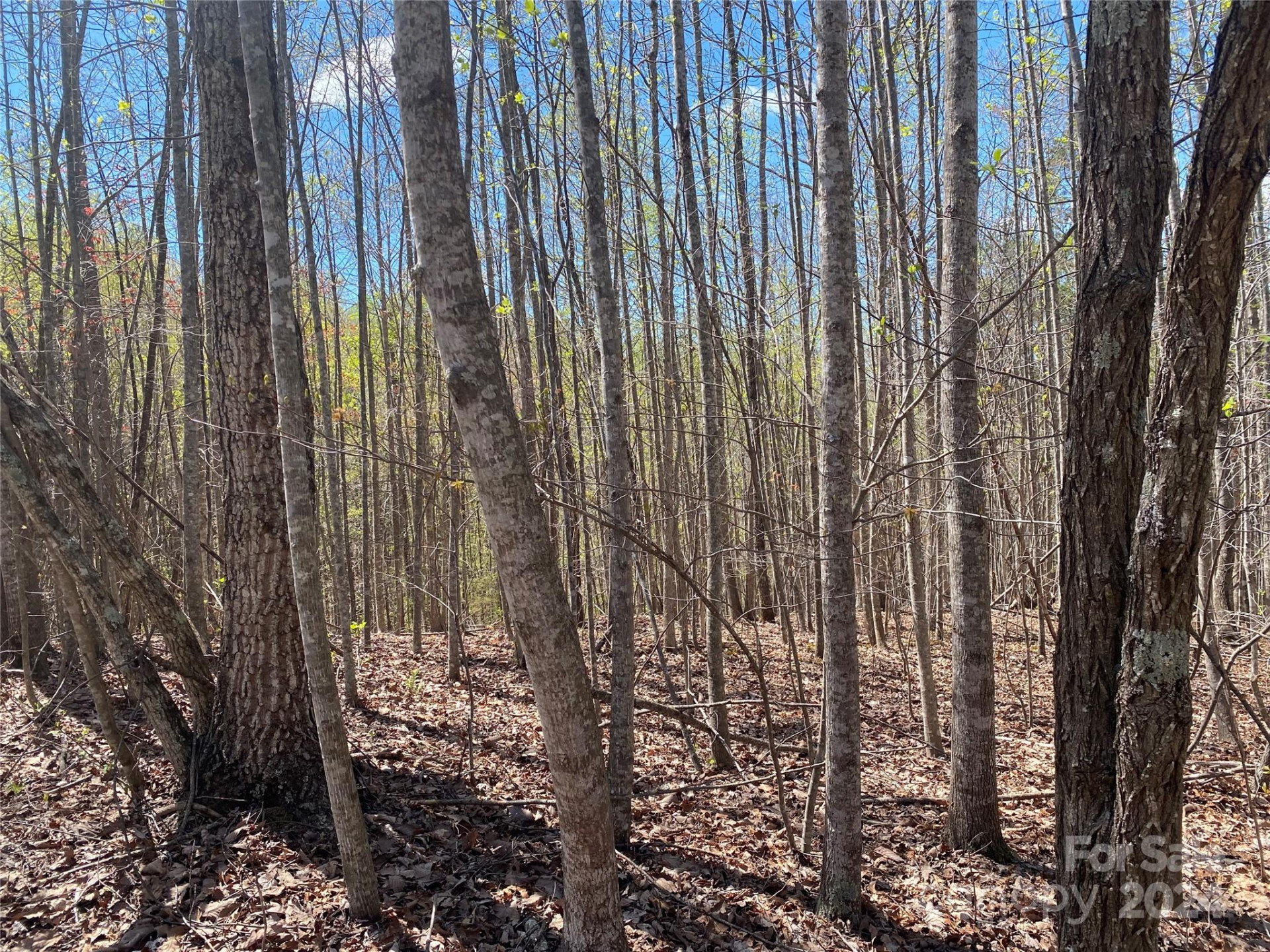 Lots 8,9 Wild Horse Drive - Photo 17