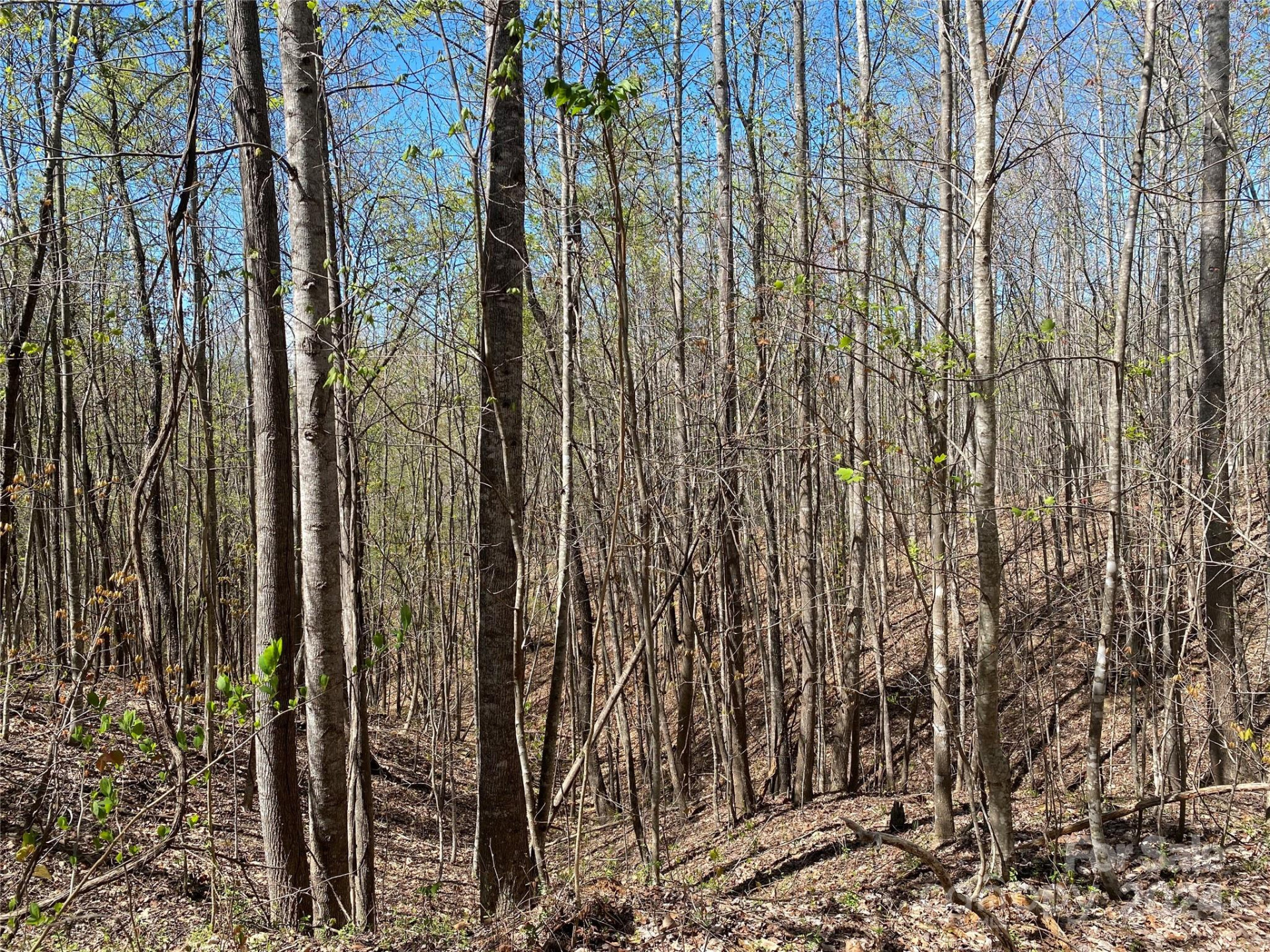 Lots 8,9 Wild Horse Drive - Photo 18