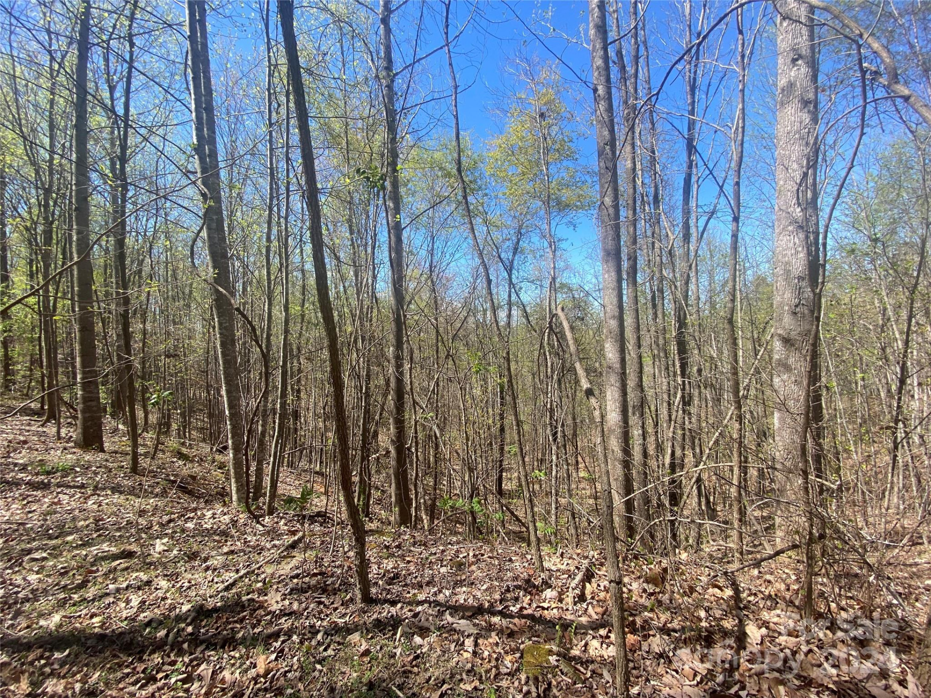 Lots 8,9 Wild Horse Drive - Photo 19