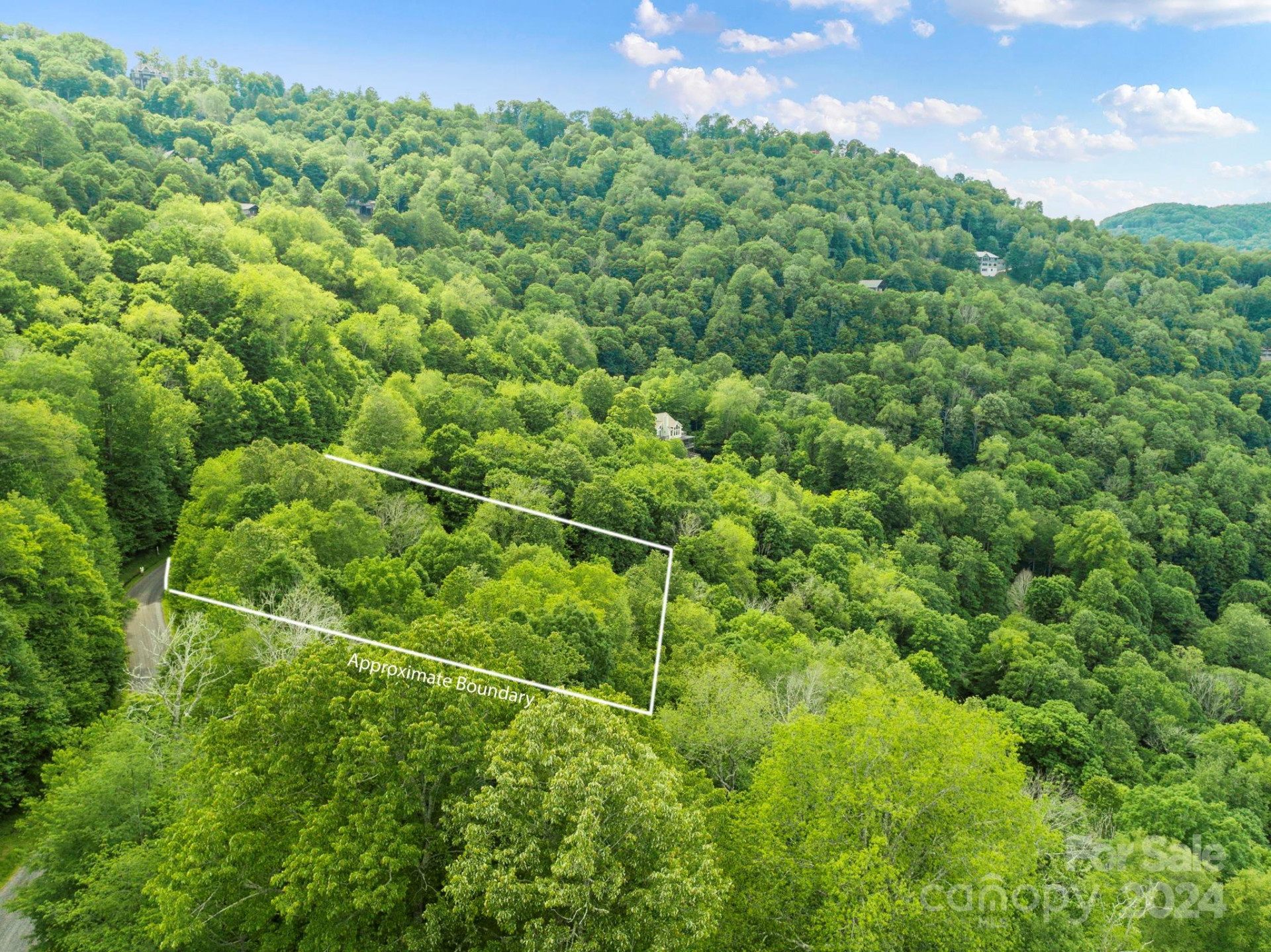 98 Goldenleaf Road #98 - Photo 16