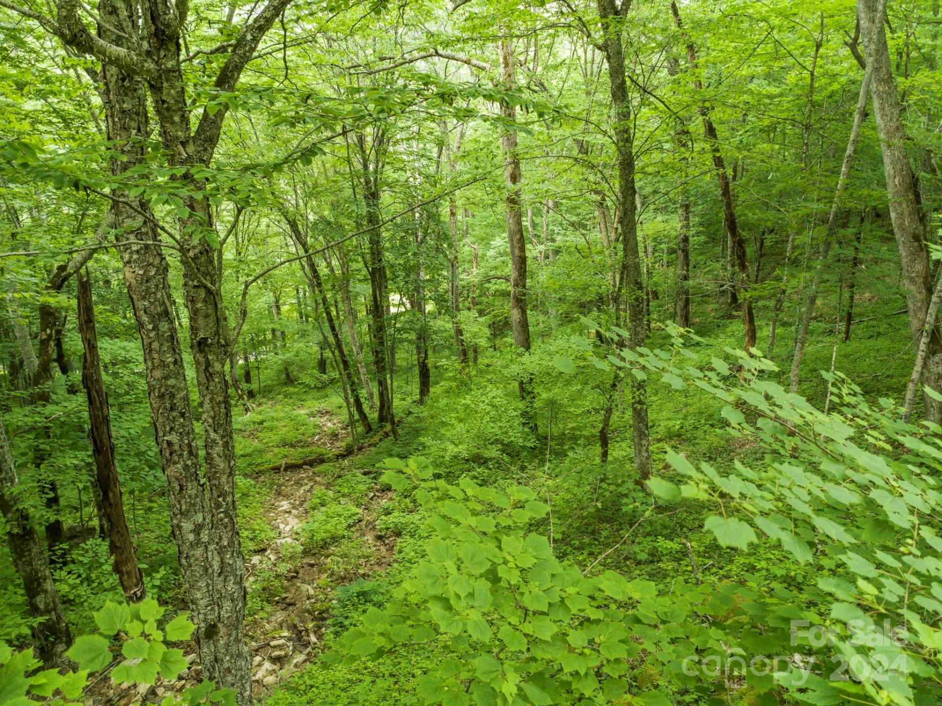 98 Goldenleaf Road #98 - Photo 17