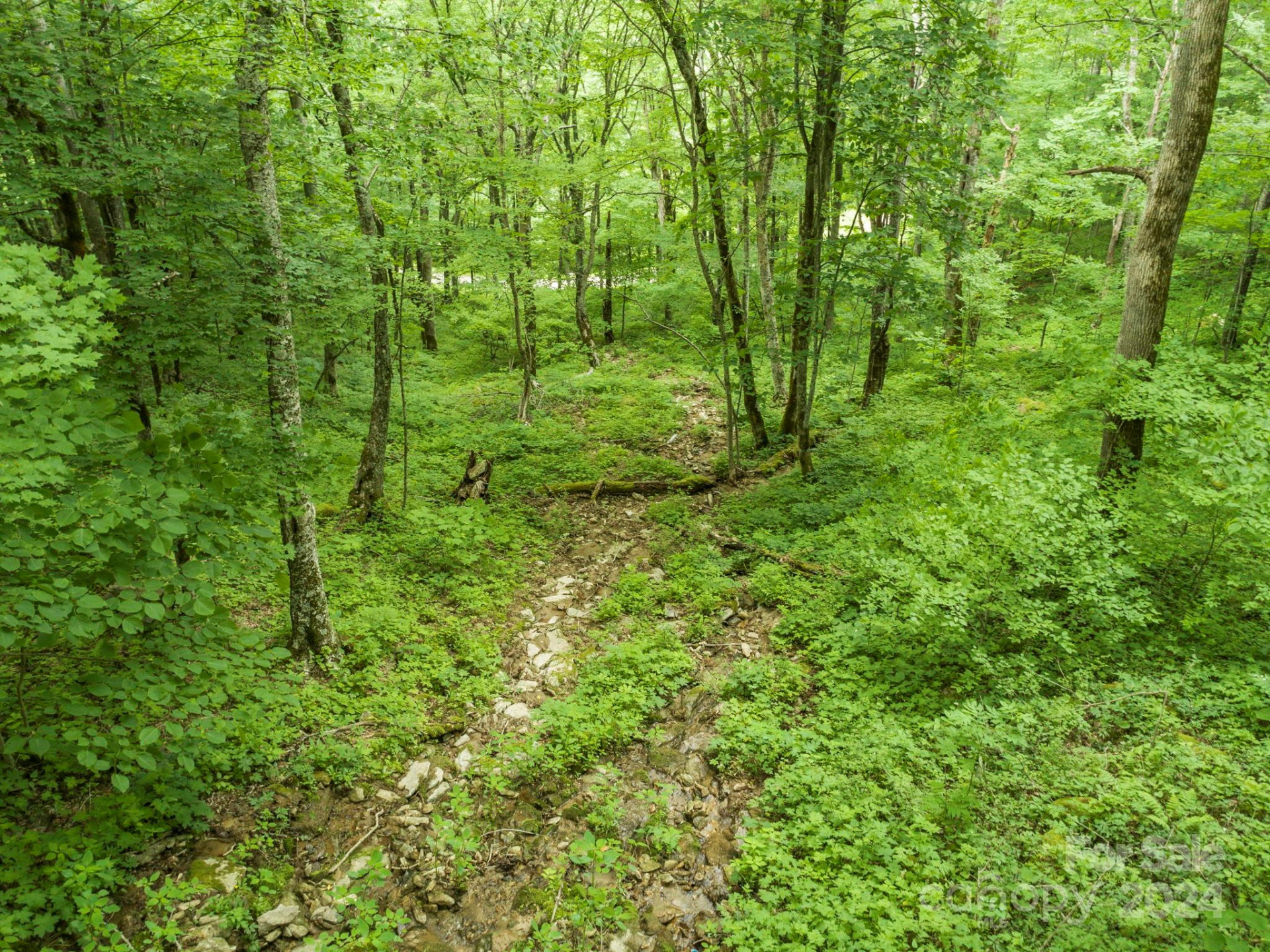 98 Goldenleaf Road #98 - Photo 18