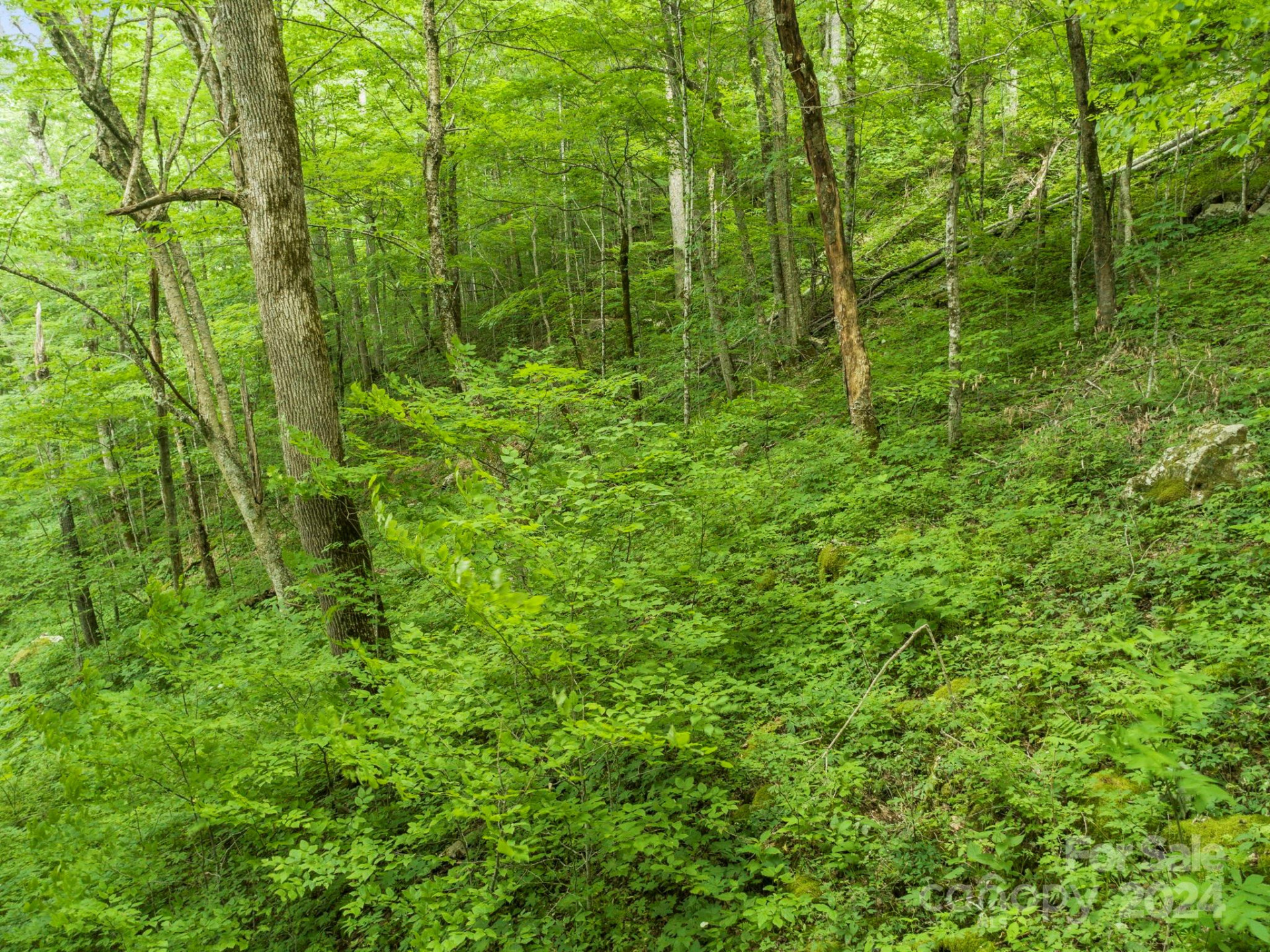 98 Goldenleaf Road #98 - Photo 19