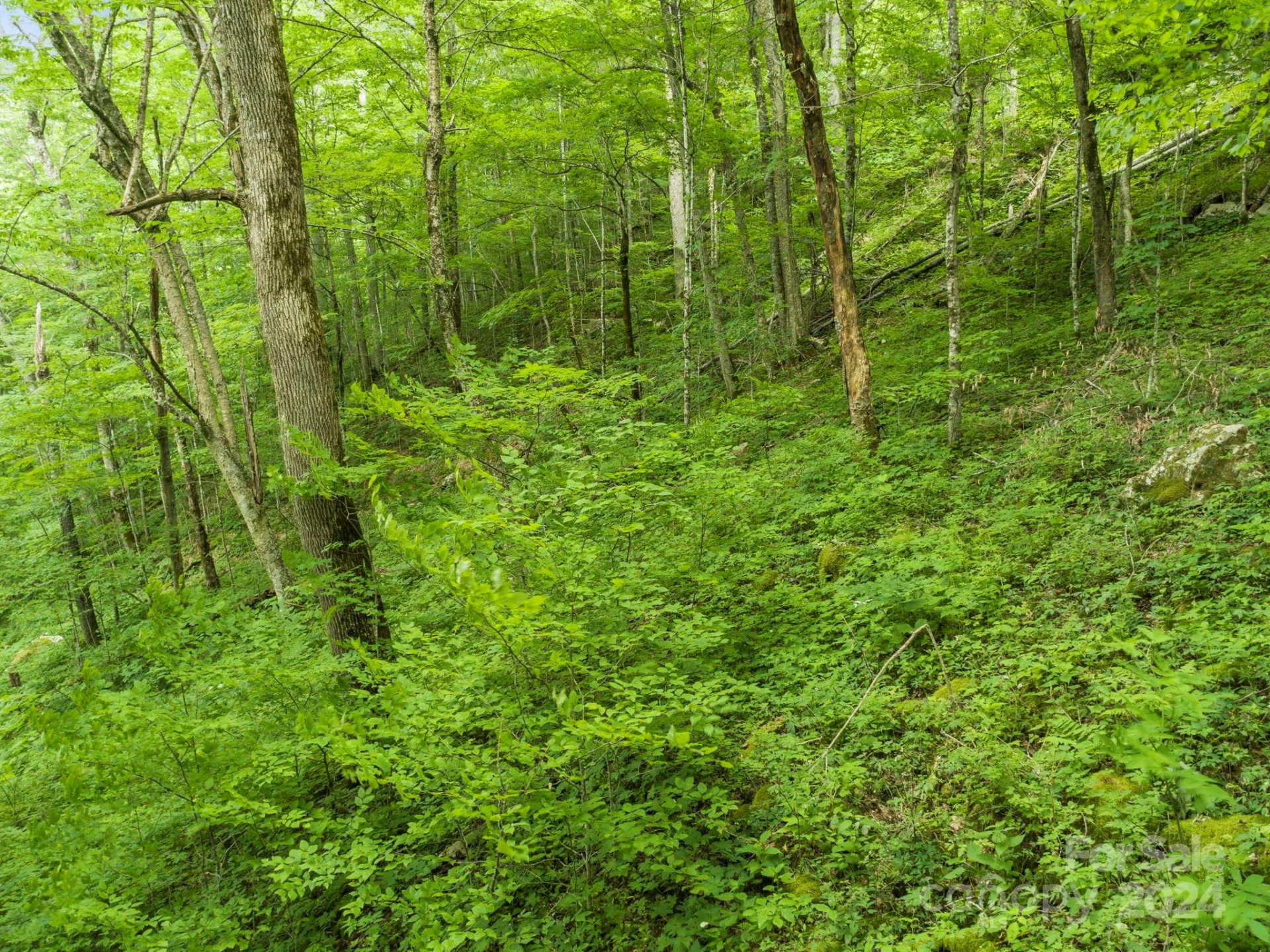 98 Goldenleaf Road #98 - Photo 19