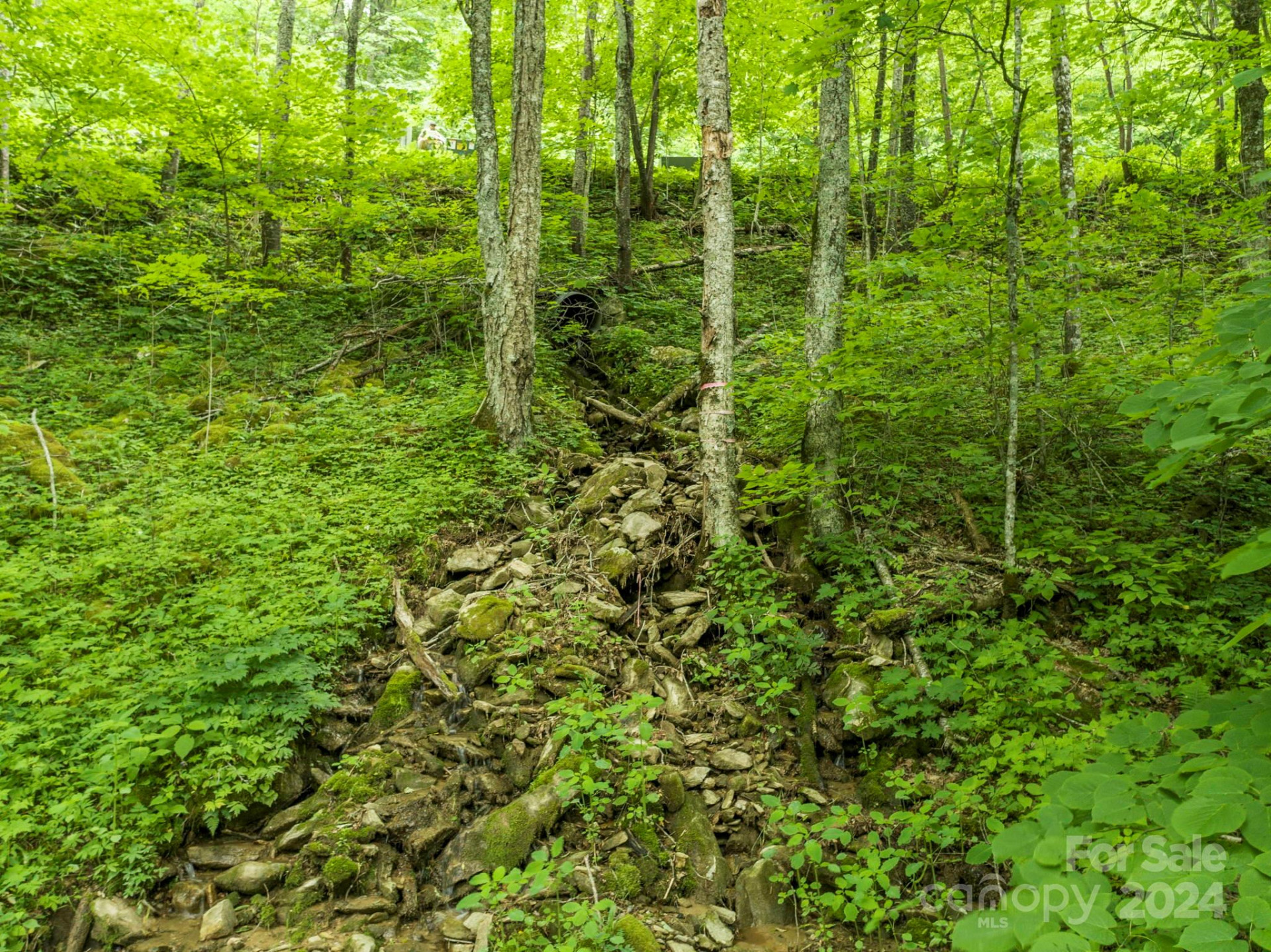 98 Goldenleaf Road #98 - Photo 20