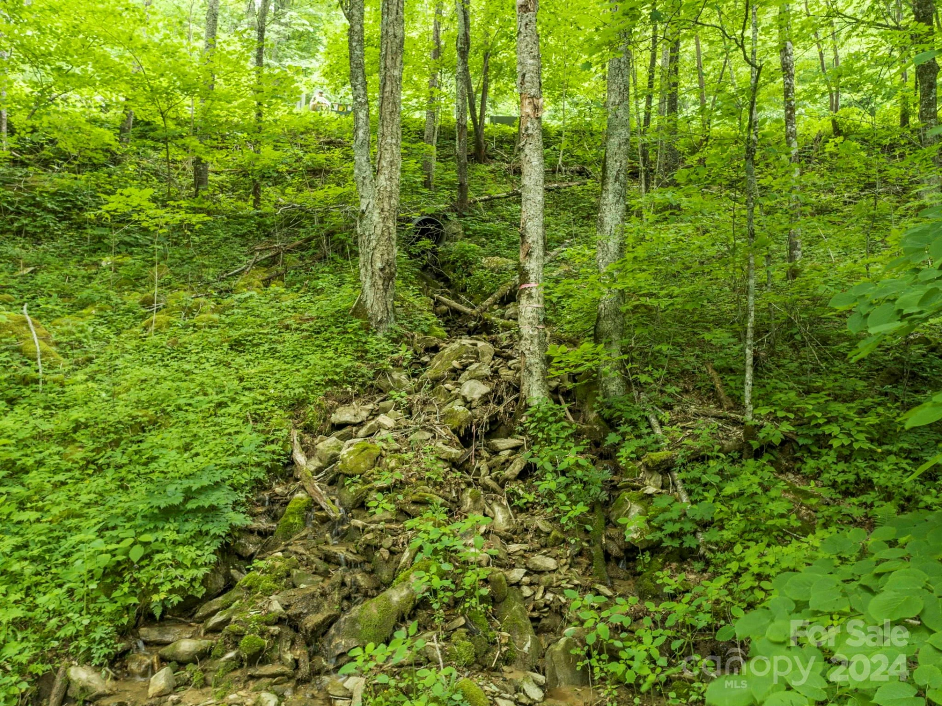 98 Goldenleaf Road #98 - Photo 20
