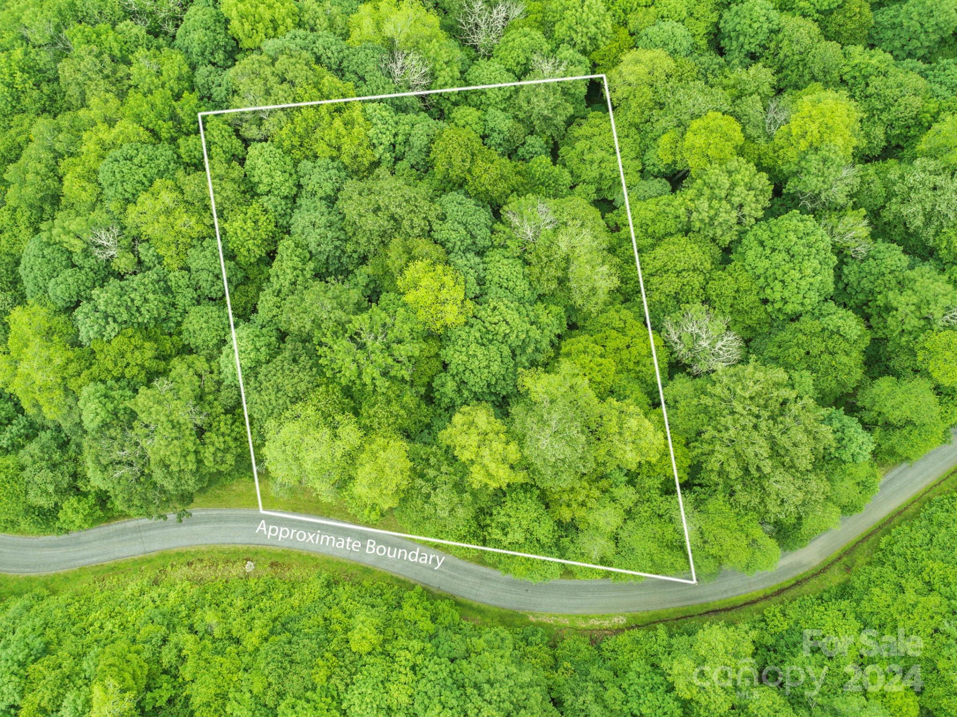 98 Goldenleaf Road #98 - Photo 3