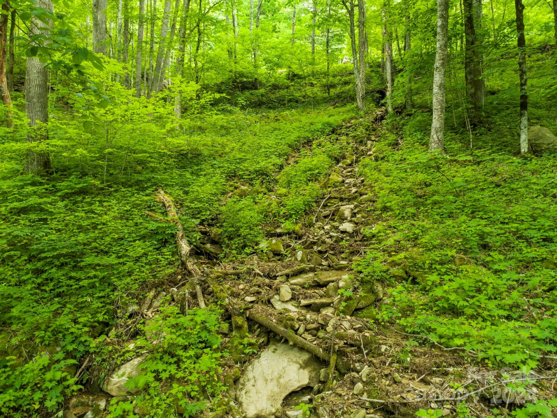 98 Goldenleaf Road #98 - Photo 22