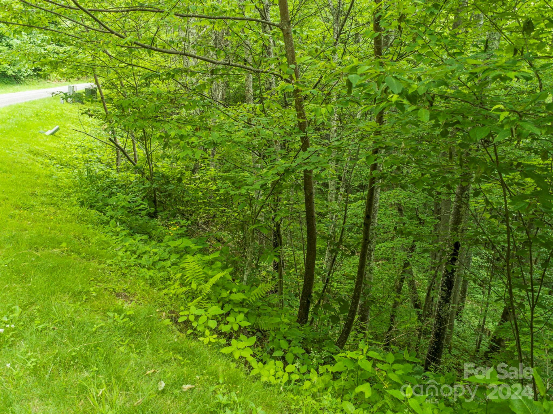 98 Goldenleaf Road #98 - Photo 24