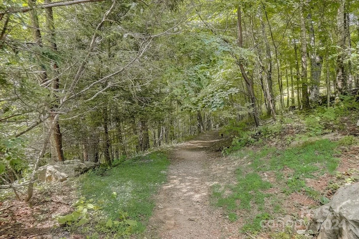 98 Goldenleaf Road #98 - Photo 34