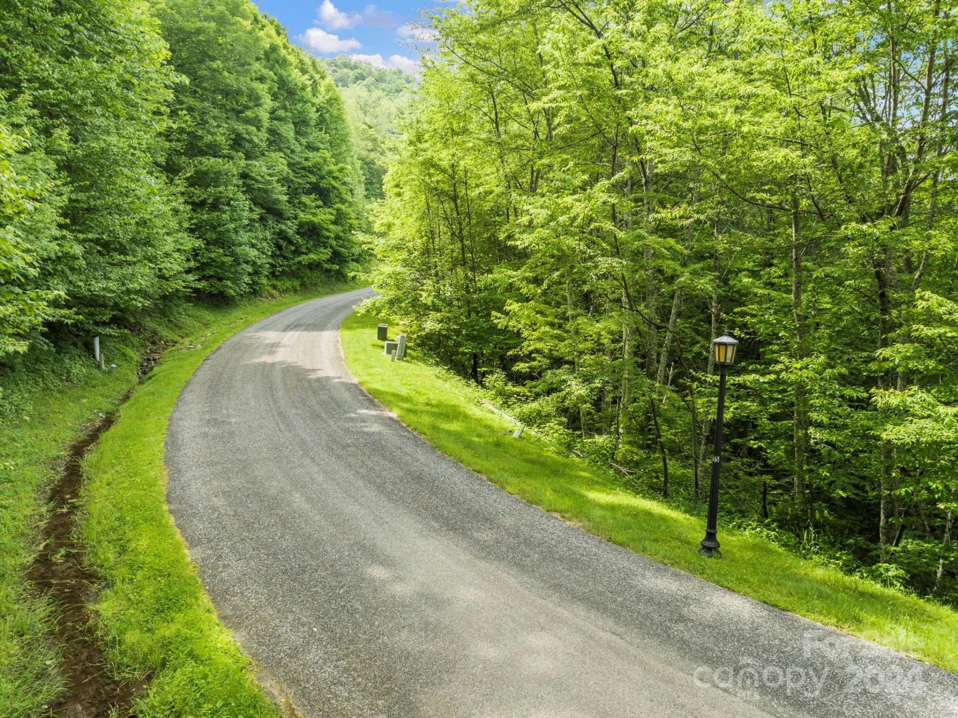 98 Goldenleaf Road #98 - Photo 5