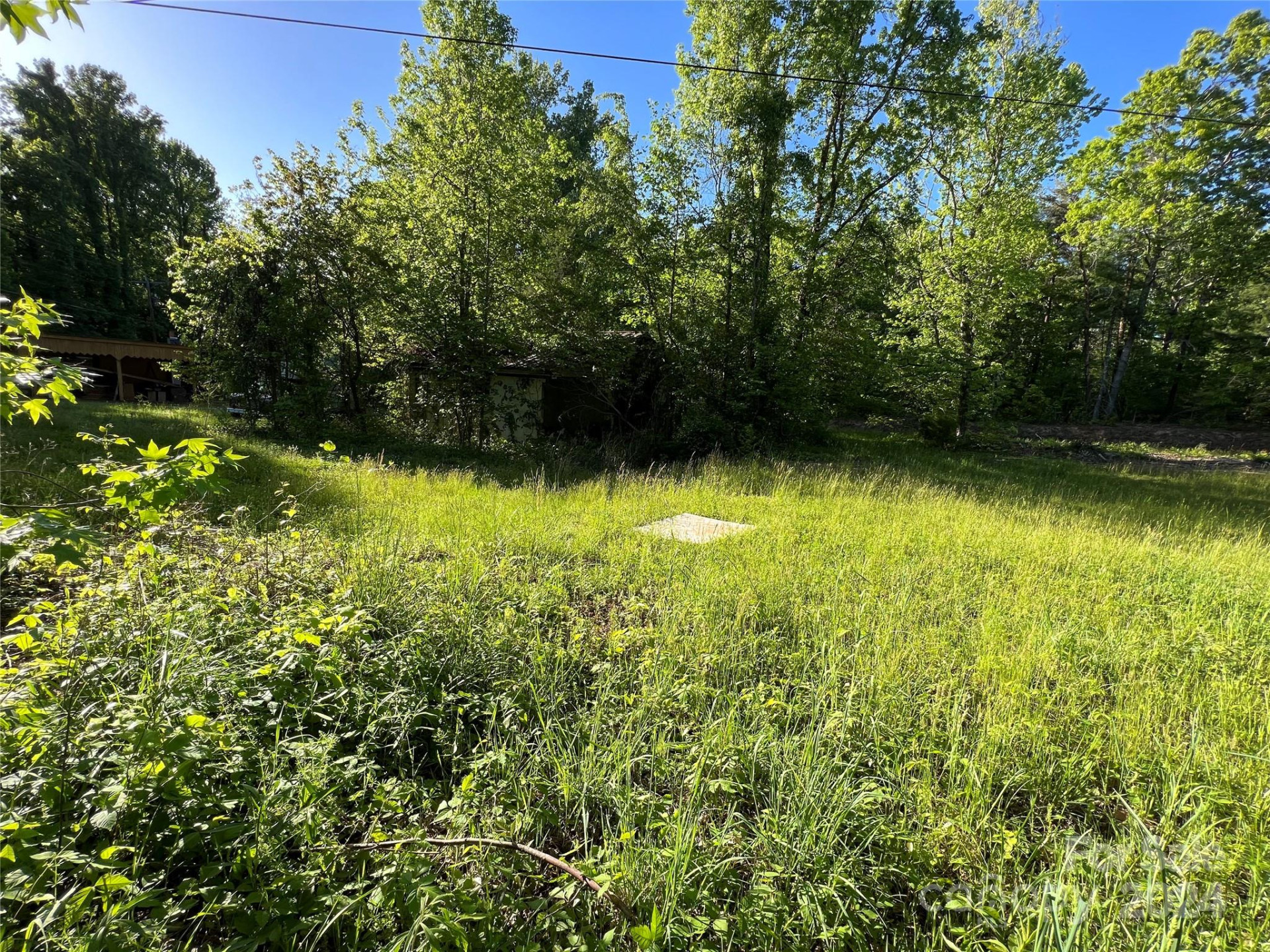 3375 Nc 126 Highway - Photo 4