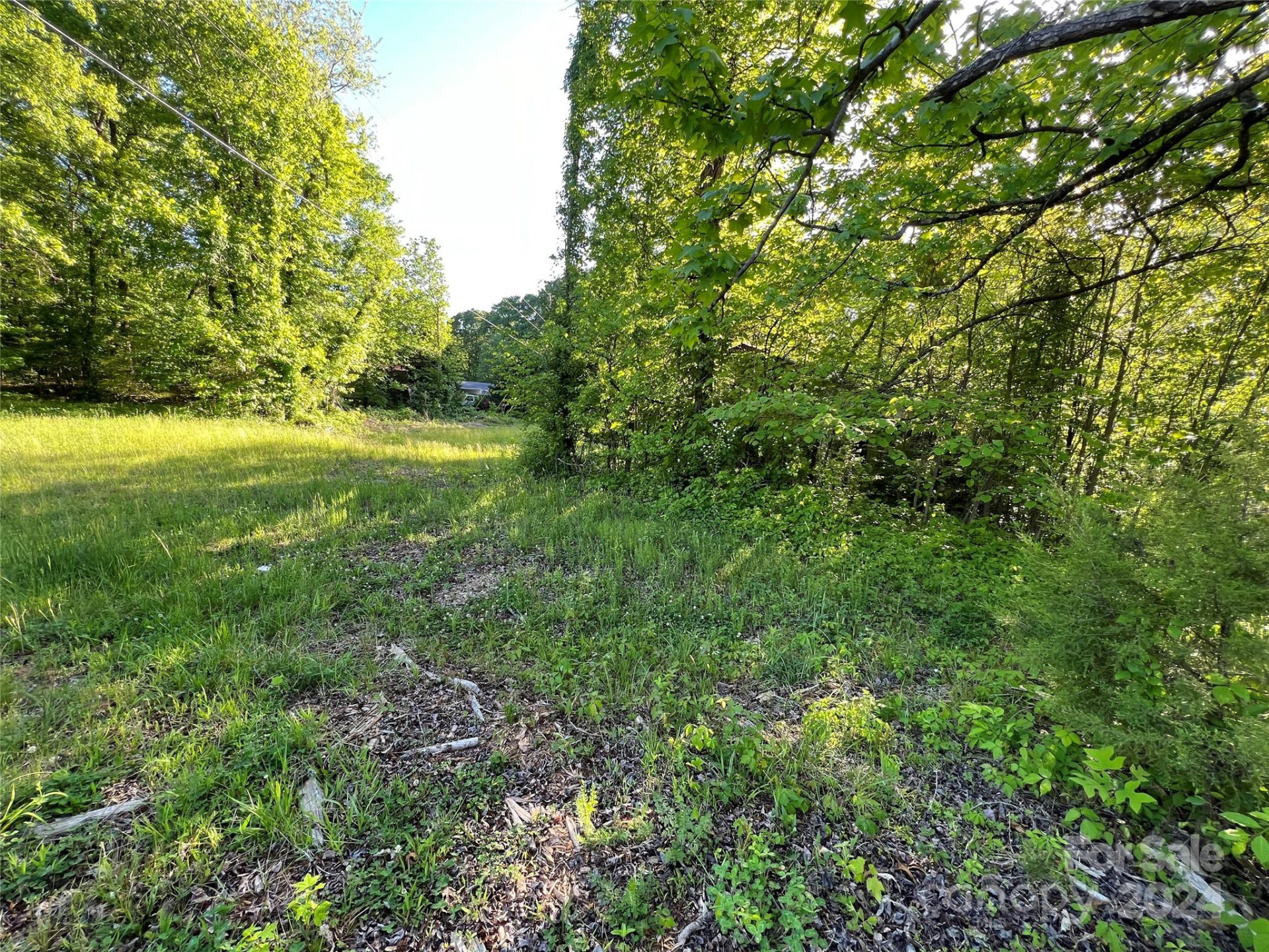 3375 Nc 126 Highway - Photo 5