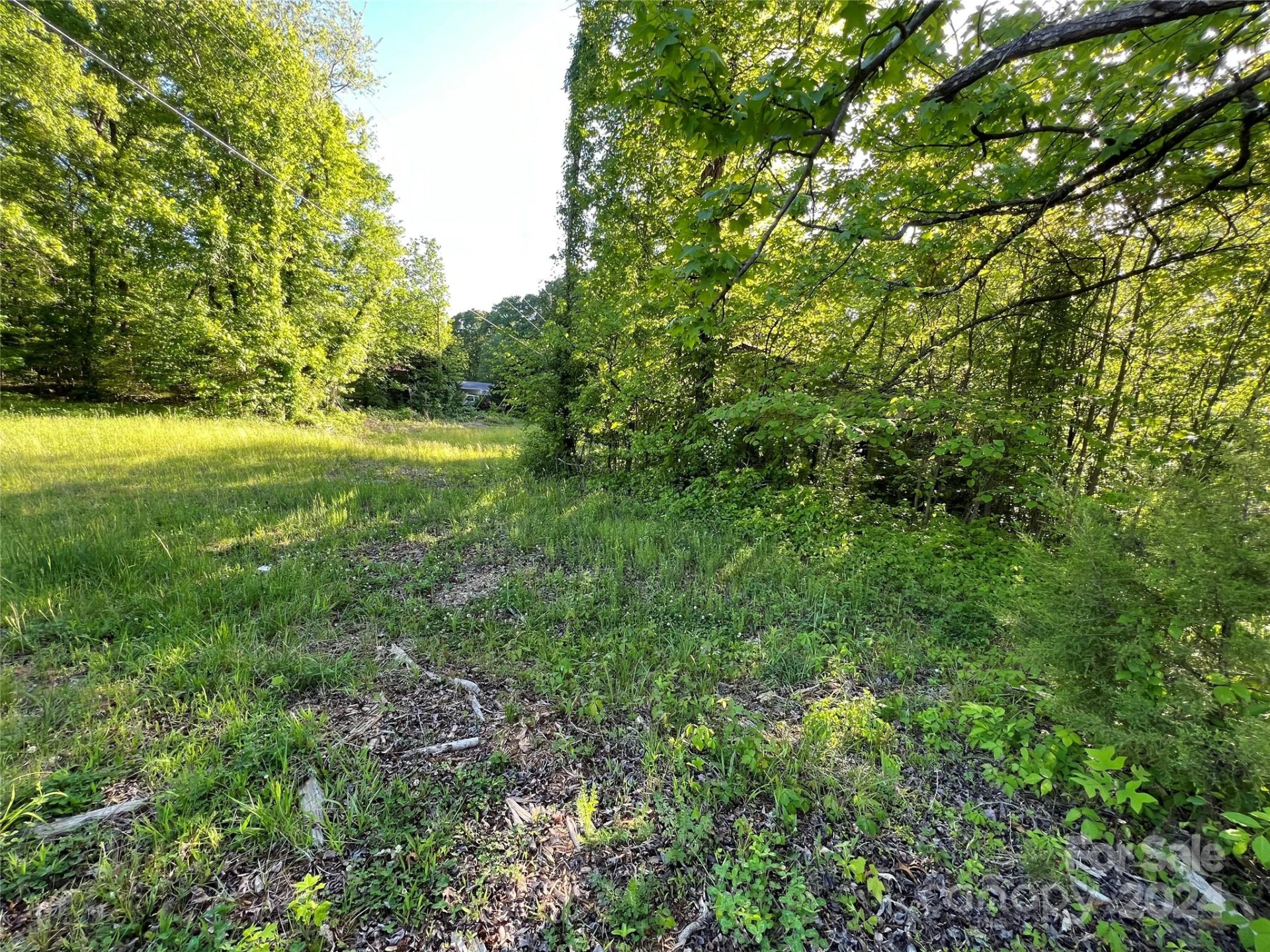 3375 Nc 126 Highway - Photo 5