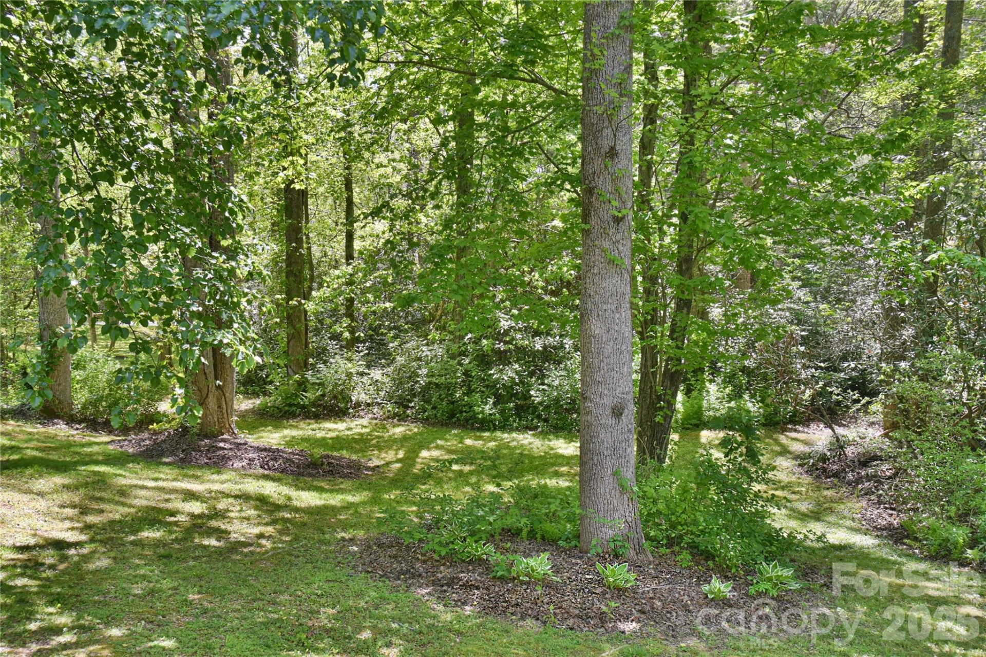 145 Fox Glen Drive - Photo 19