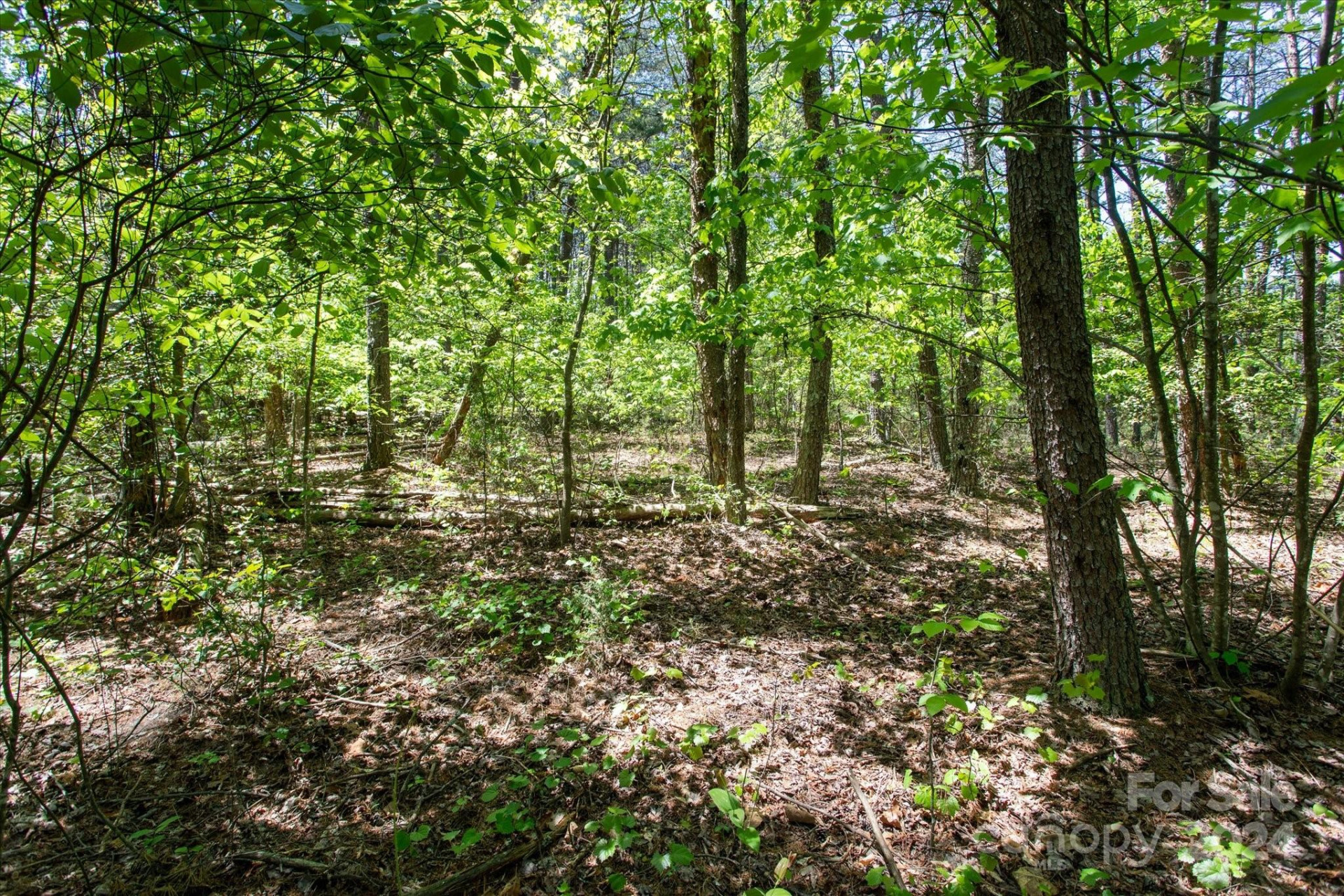 99999 Hickory Loop #2 - Photo 11