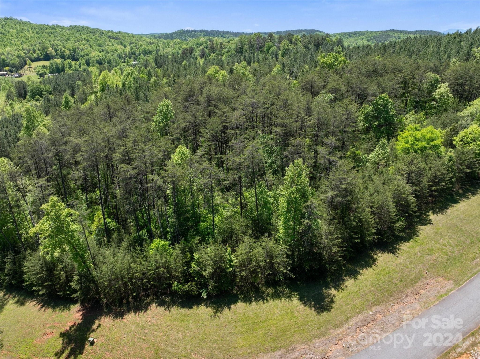 99999 Hickory Loop #2 - Photo 12