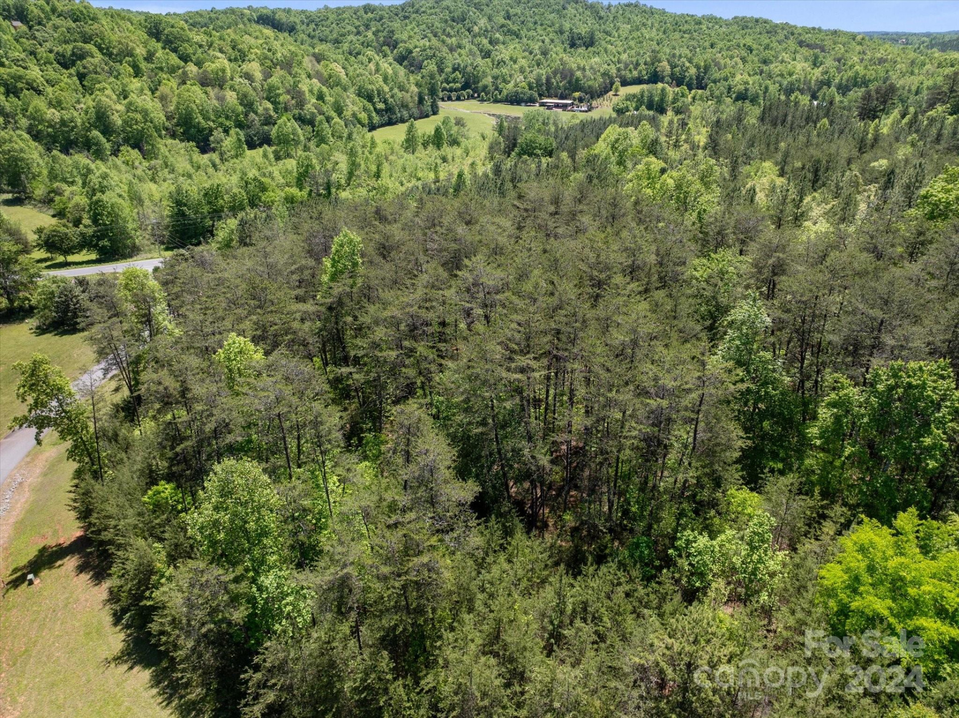 99999 Hickory Loop #2 - Photo 13