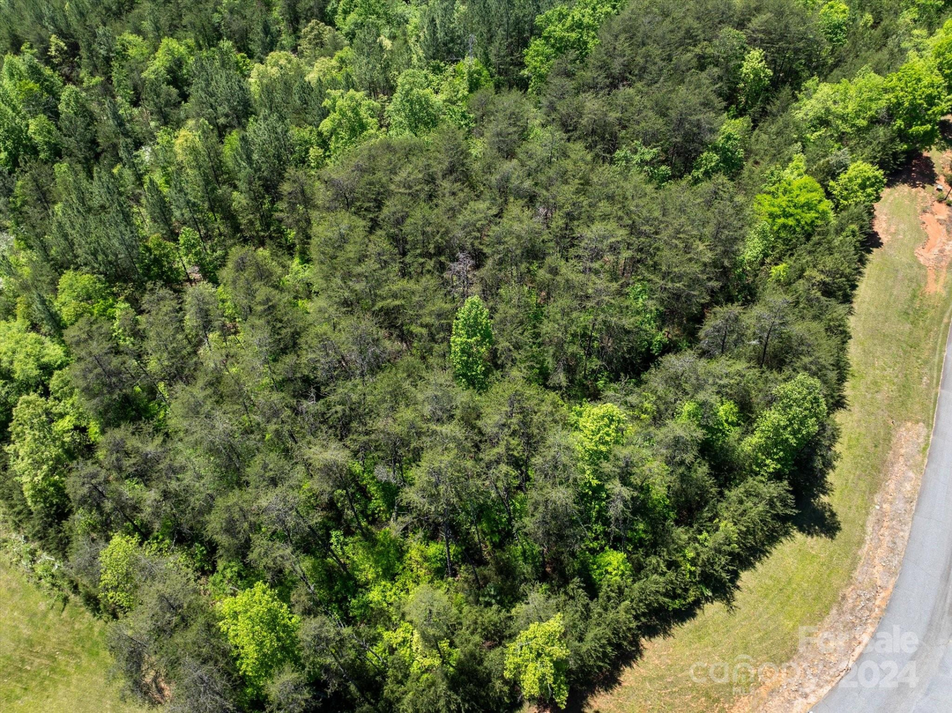 99999 Hickory Loop #2 - Photo 14