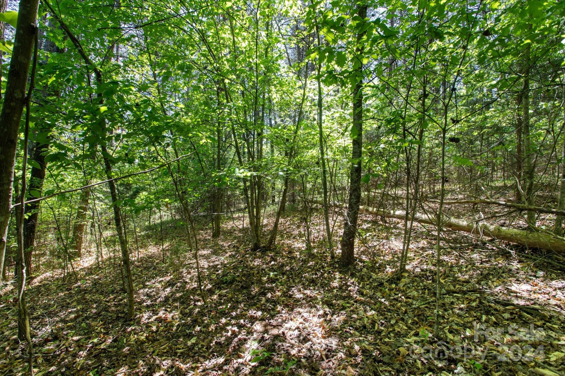 99999 Hickory Loop #2 - Photo 7