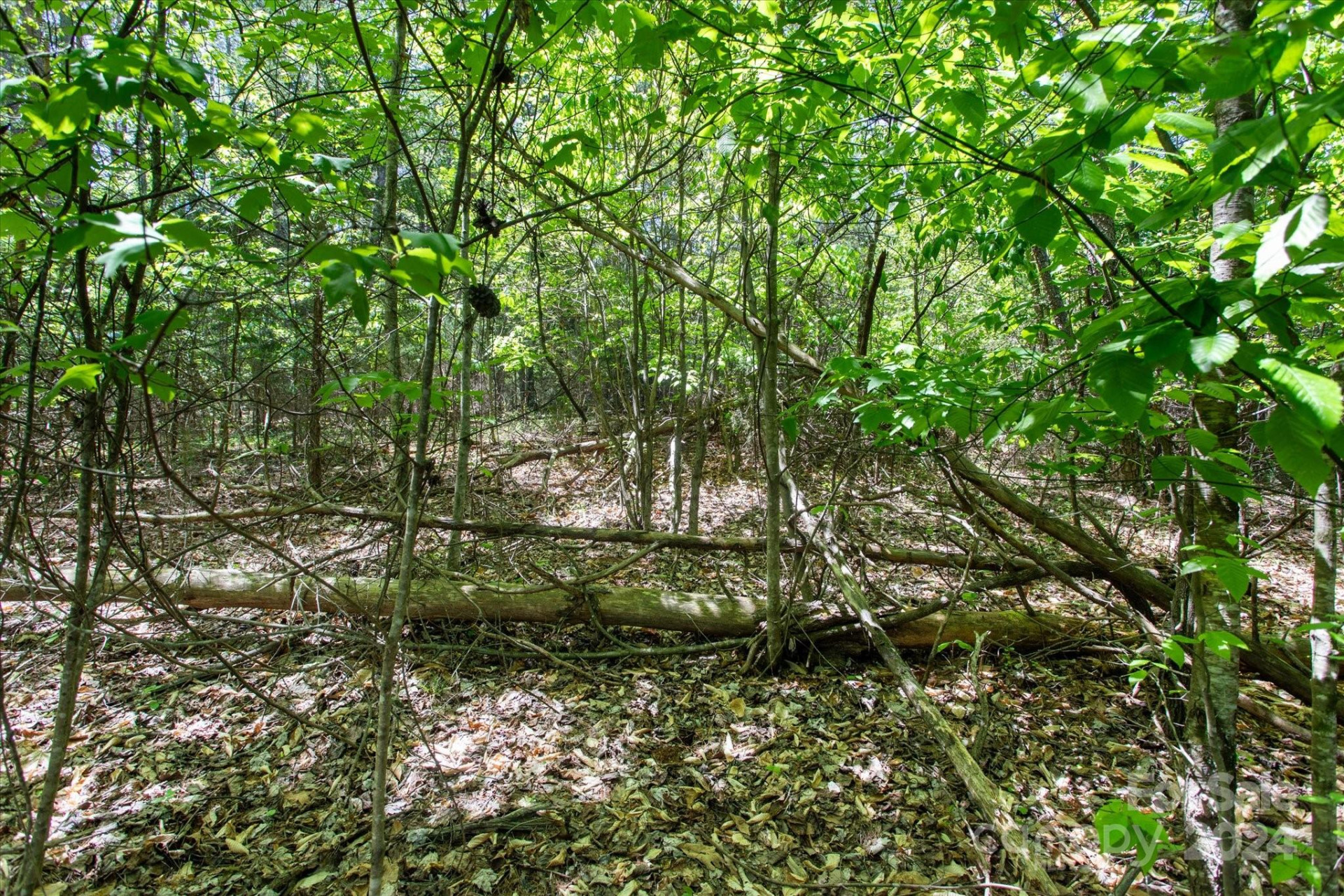 99999 Hickory Loop #2 - Photo 8