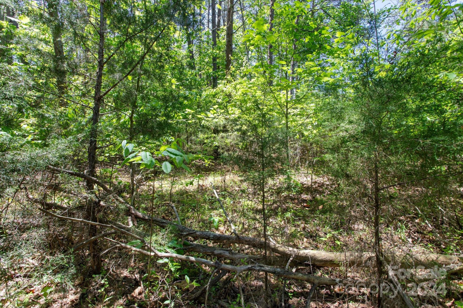 99999 Hickory Loop #2 - Photo 9