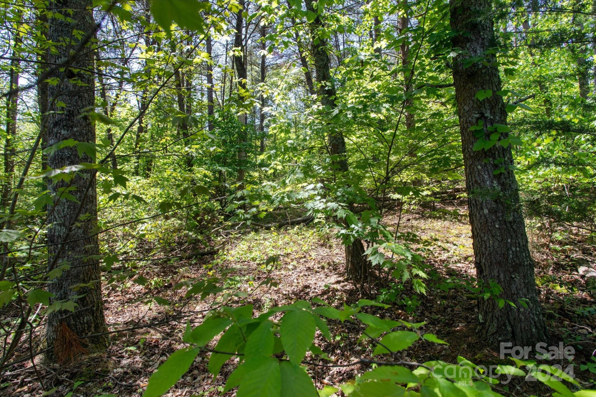 99999 Hickory Loop #2 - Photo 10