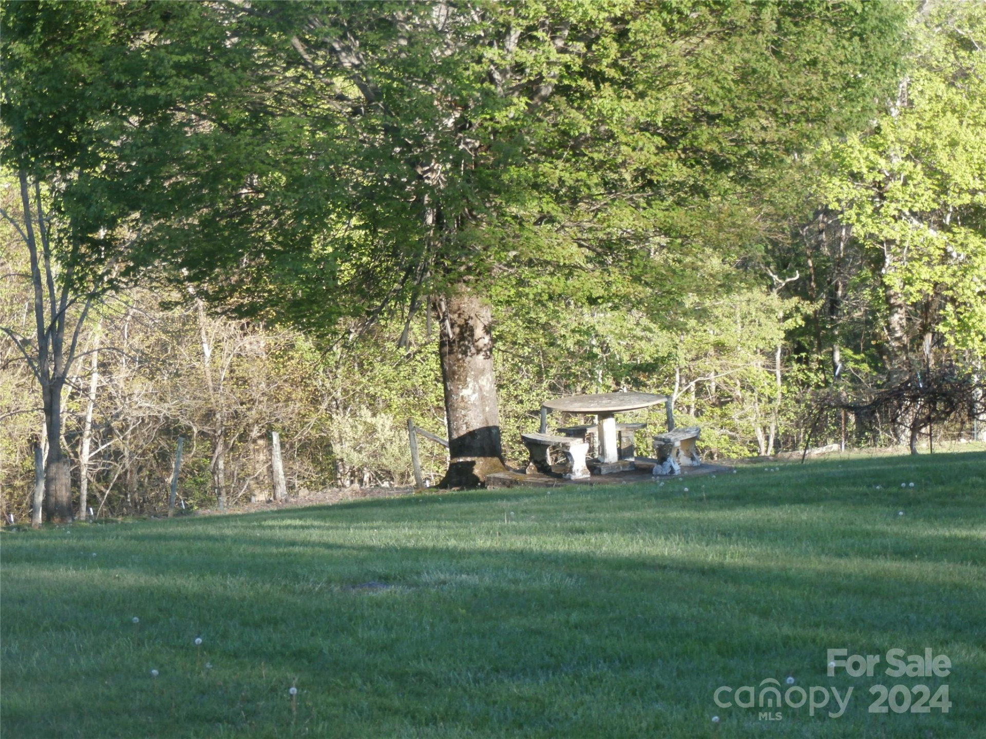 288 Firetower Road - Photo 2