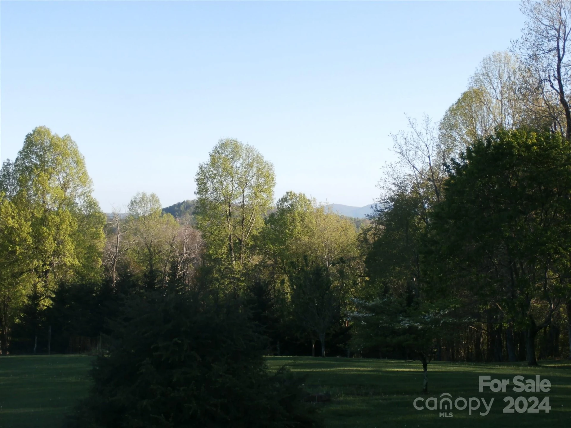 288 Firetower Road - Photo 19
