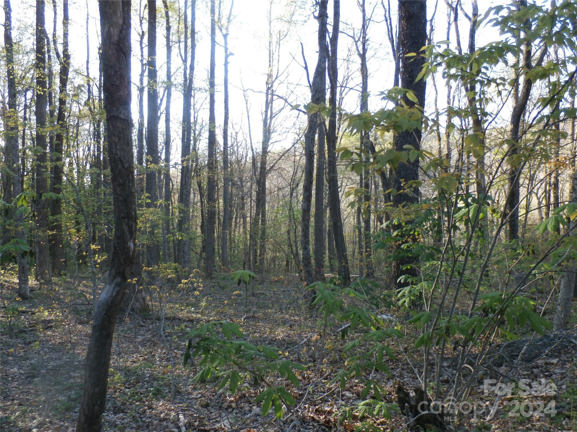 288 Firetower Road - Photo 31