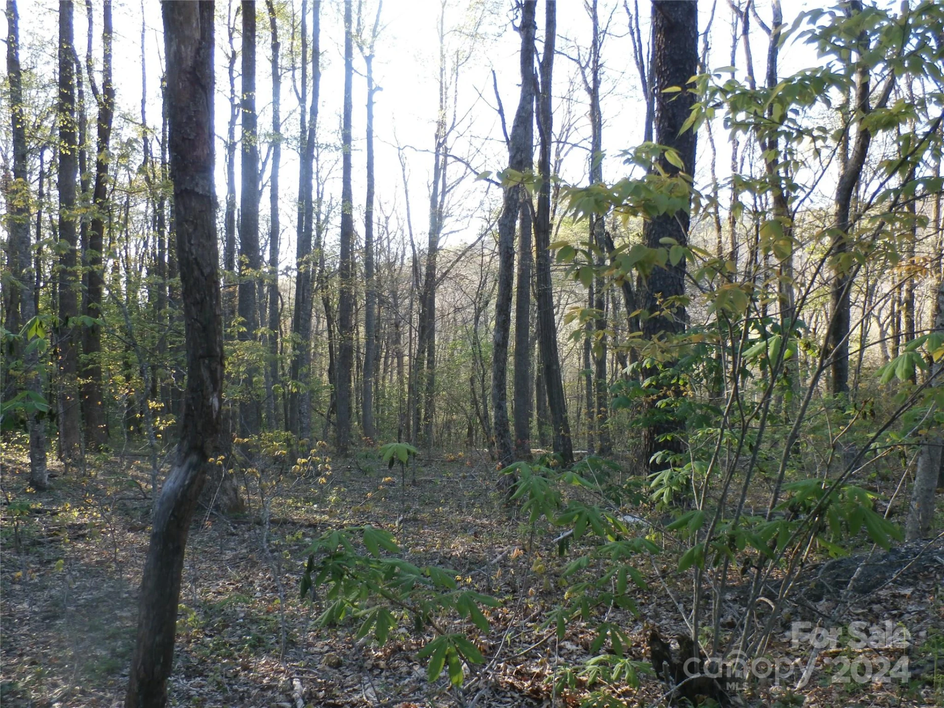 288 Firetower Road - Photo 31