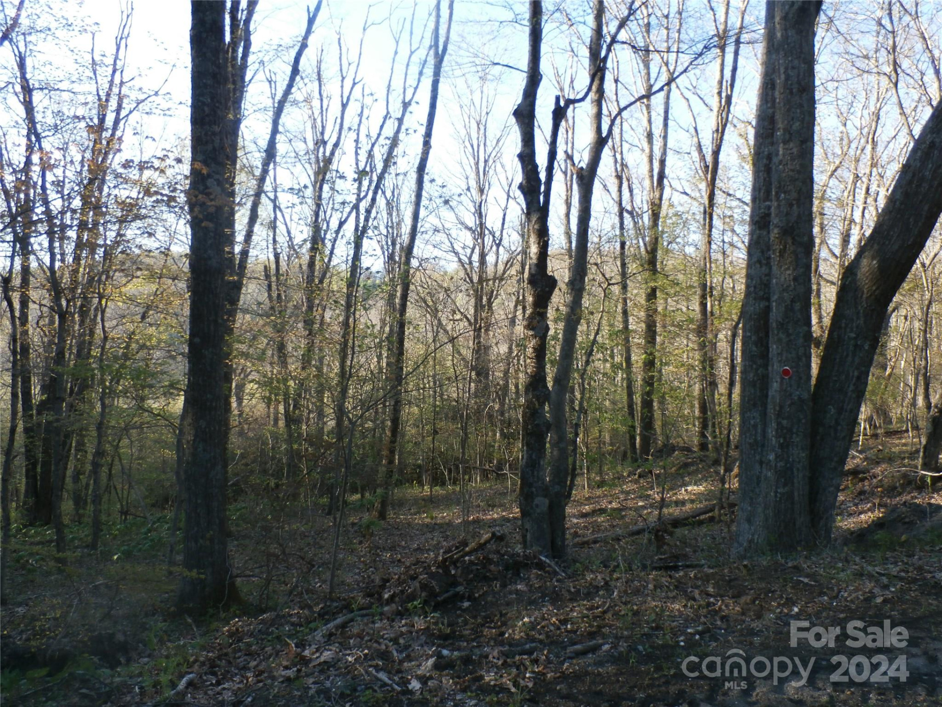 288 Firetower Road - Photo 32
