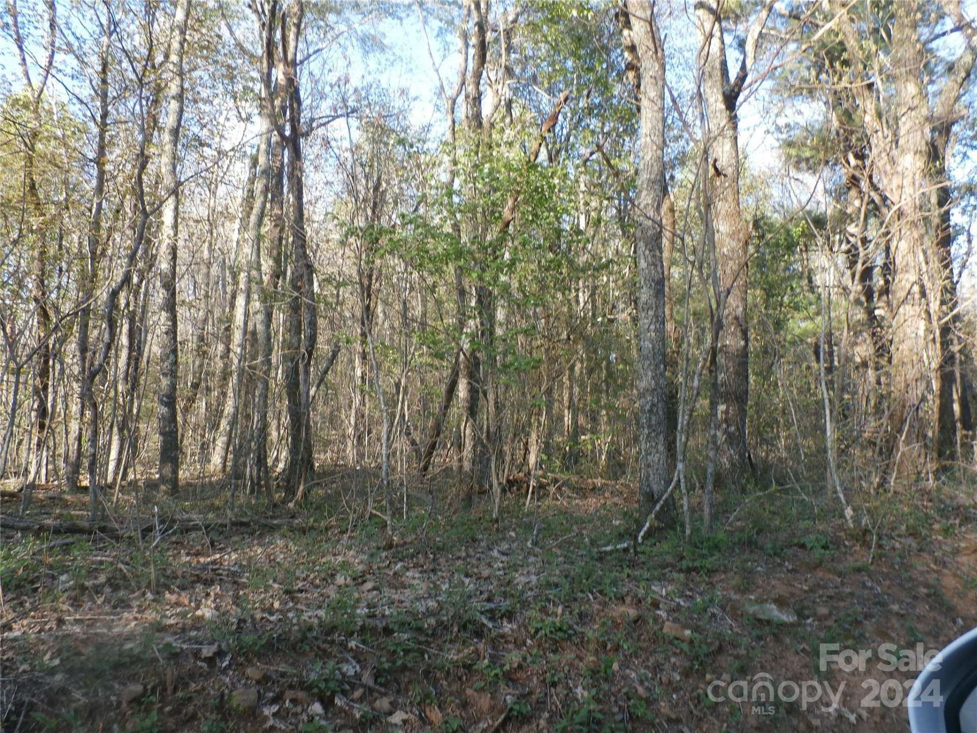 288 Firetower Road - Photo 33