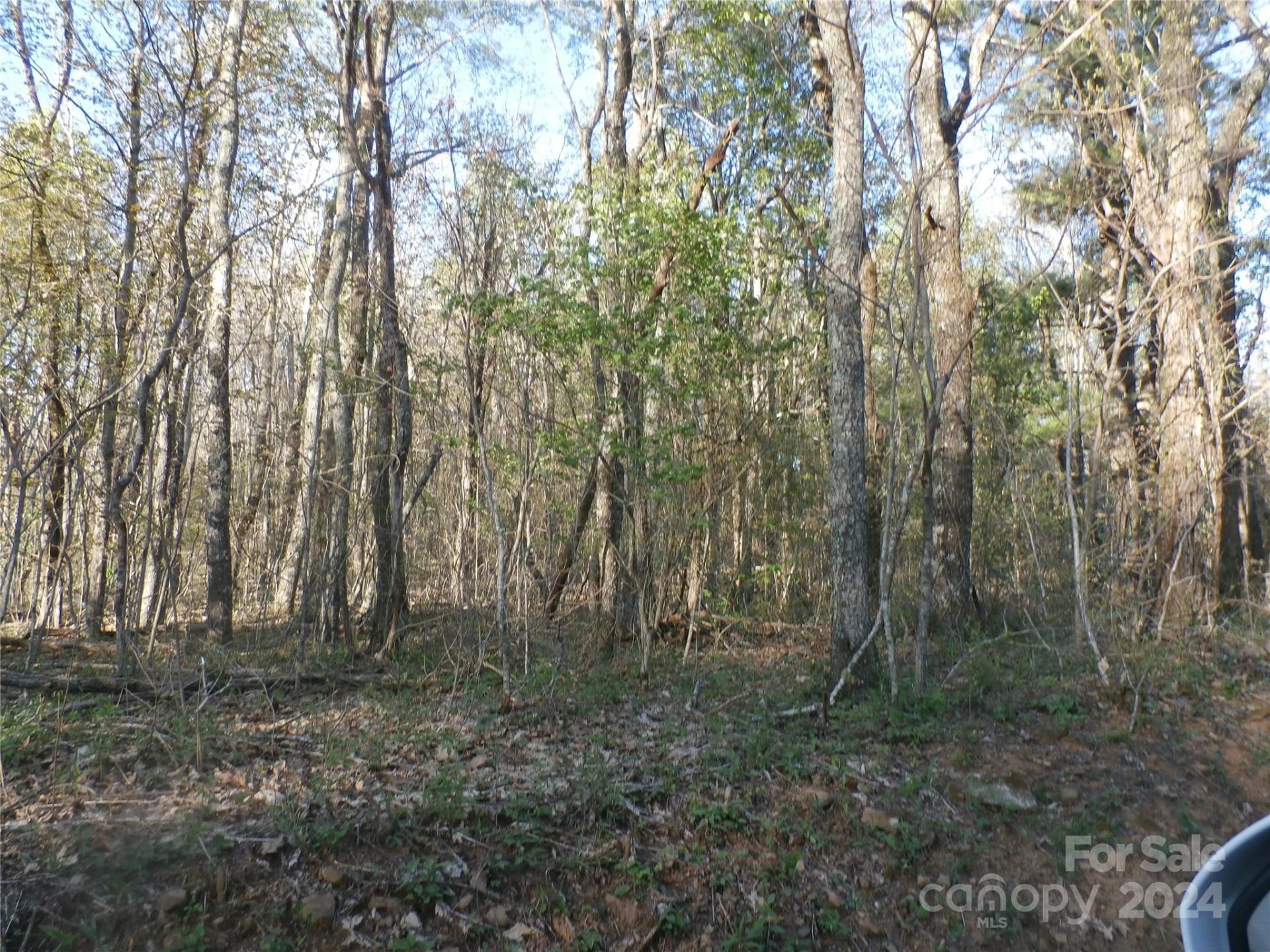 288 Firetower Road - Photo 33