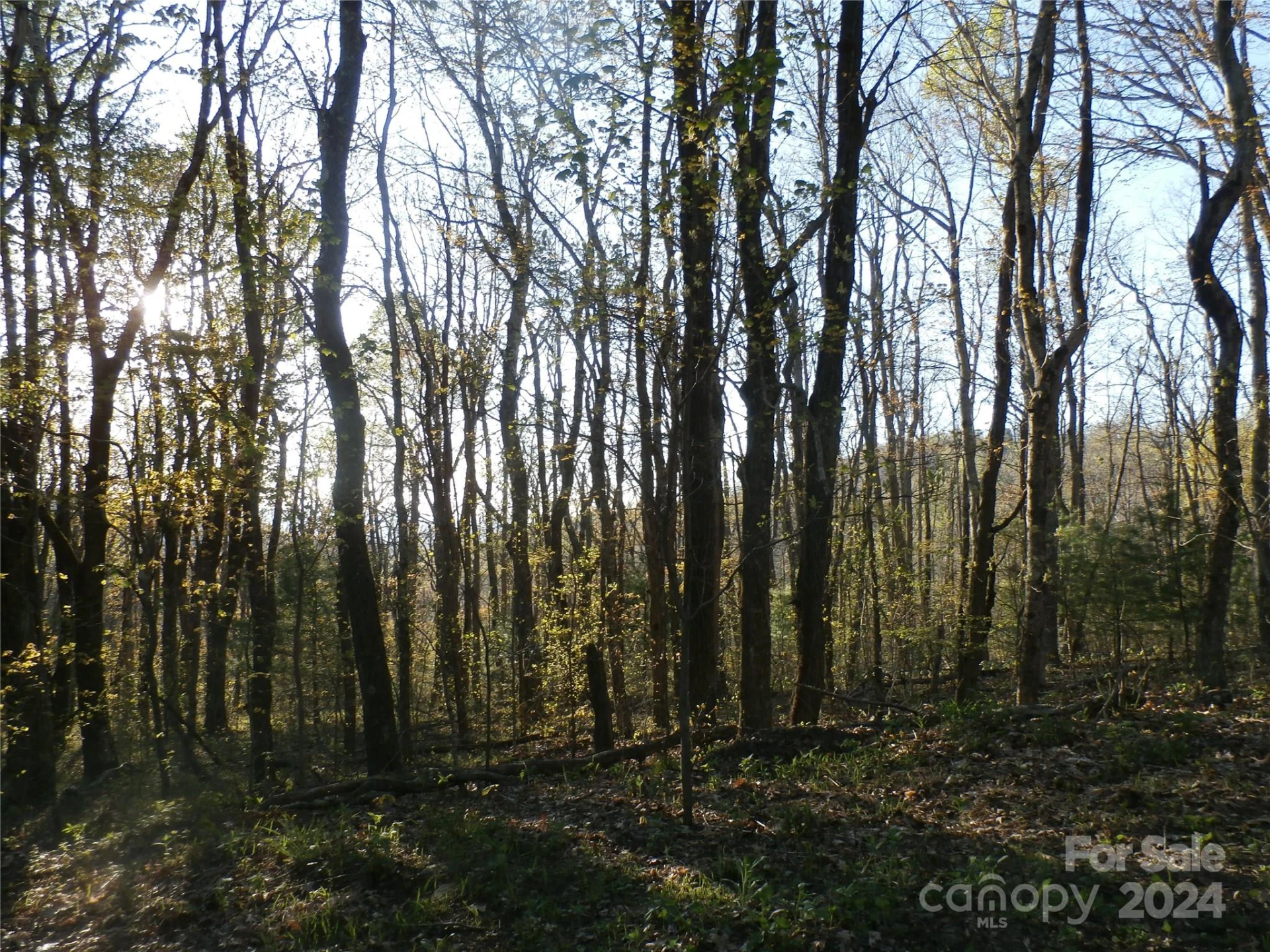 288 Firetower Road - Photo 34