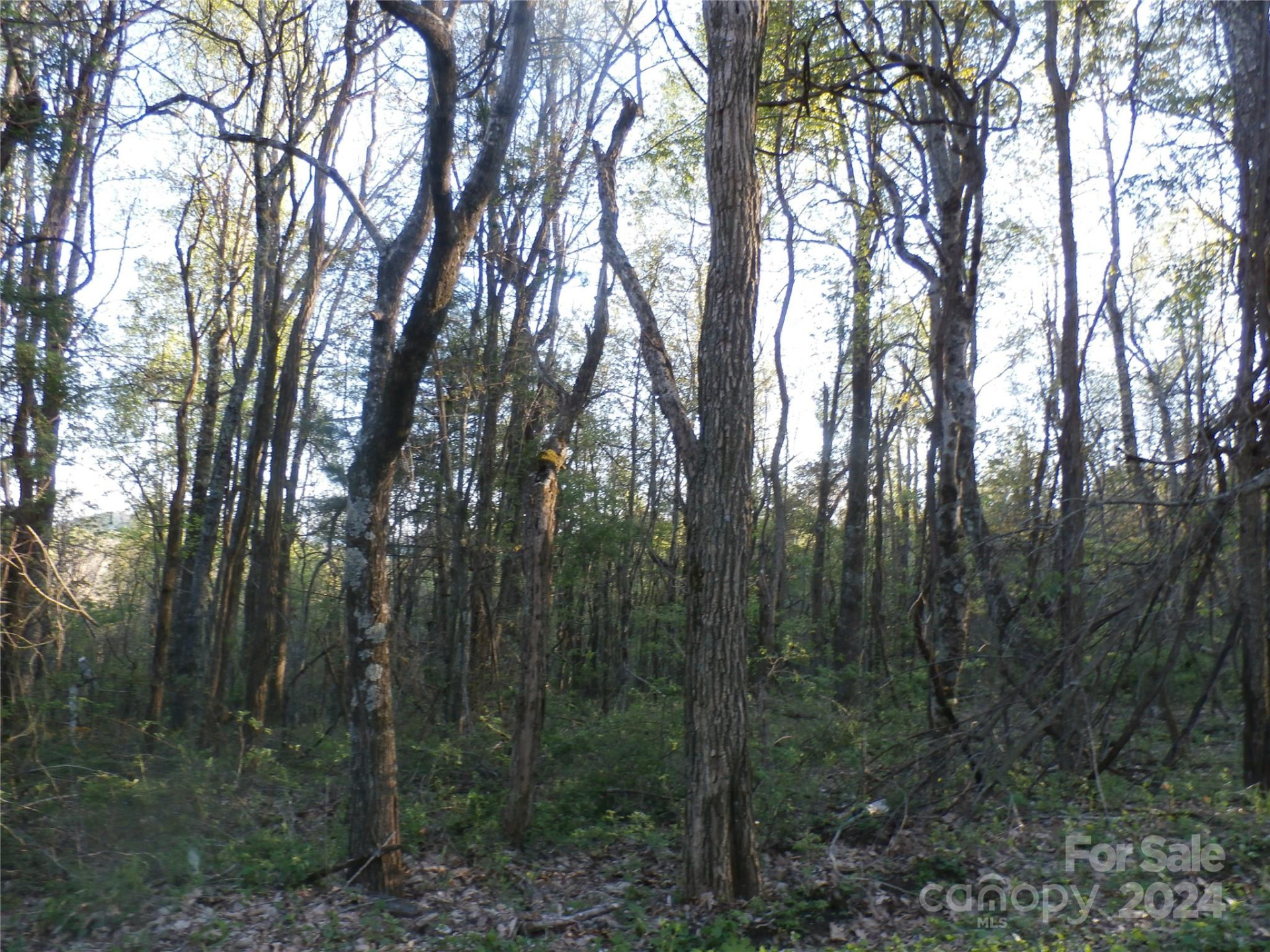 288 Firetower Road - Photo 35