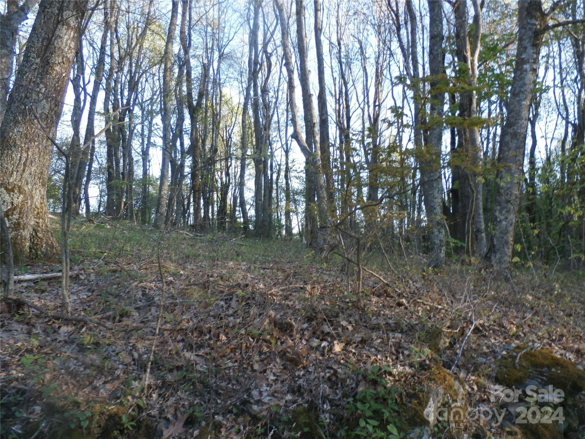 288 Firetower Road - Photo 36