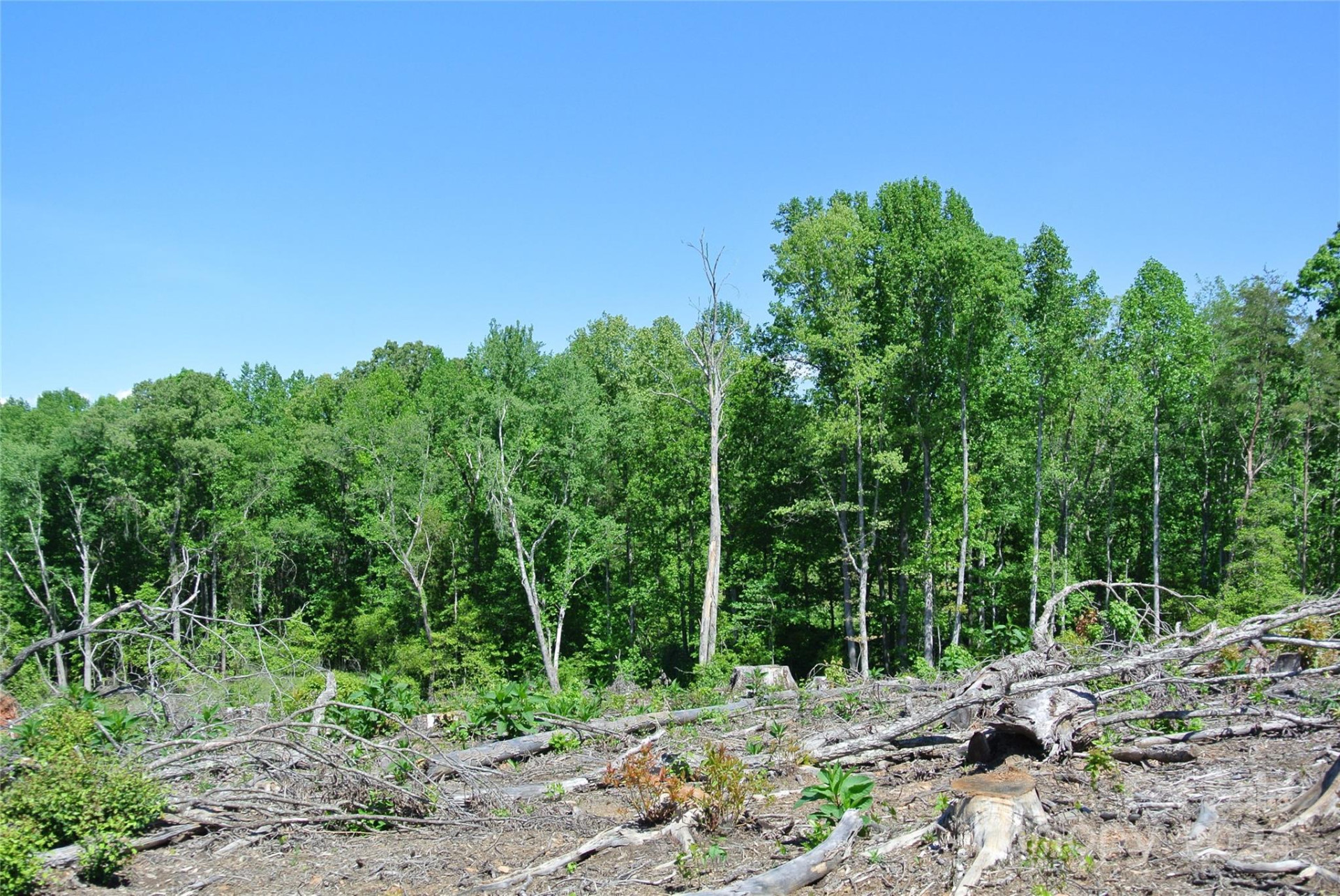 0 Hopper Road - Photo 12