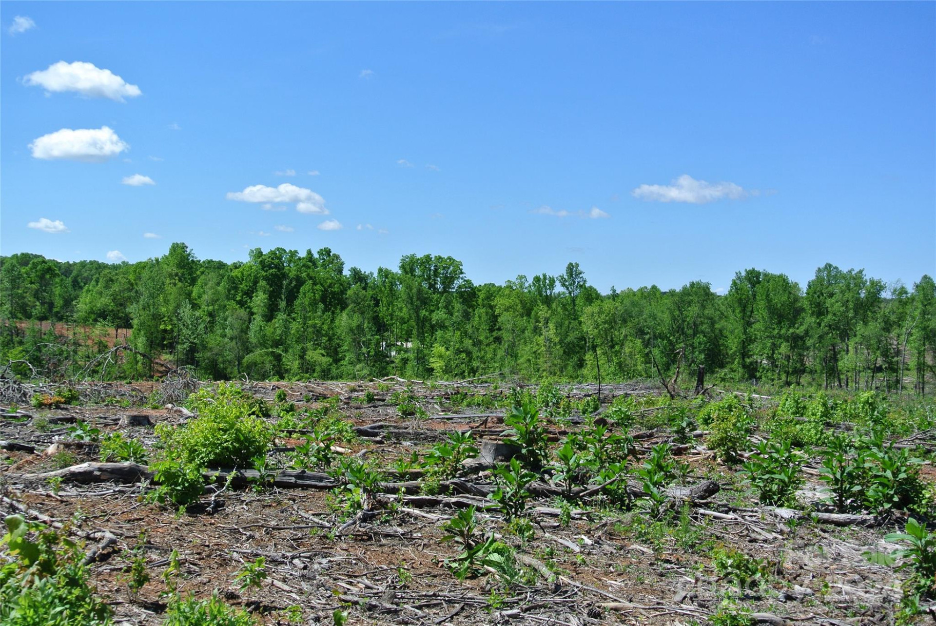 0 Hopper Road - Photo 13