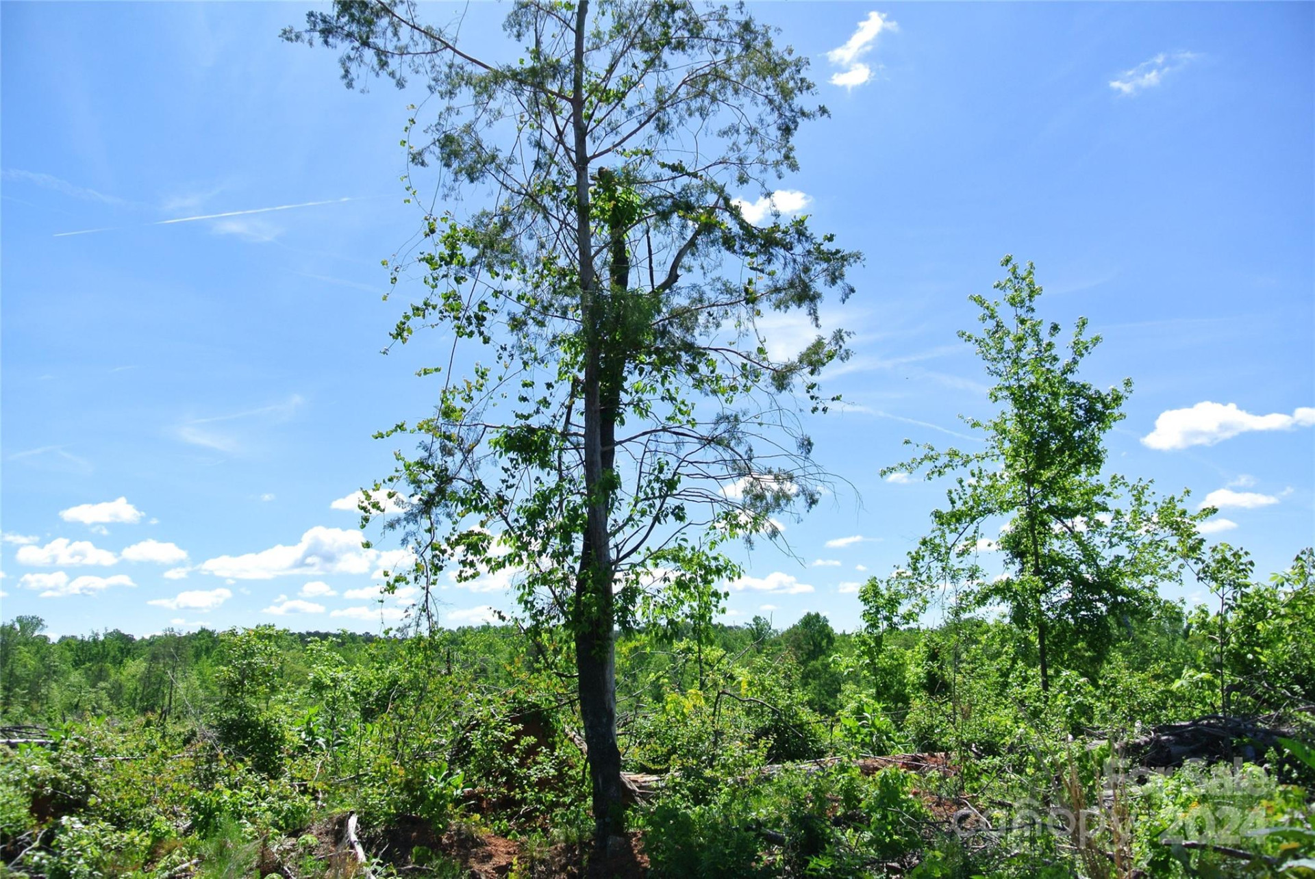 0 Hopper Road - Photo 14