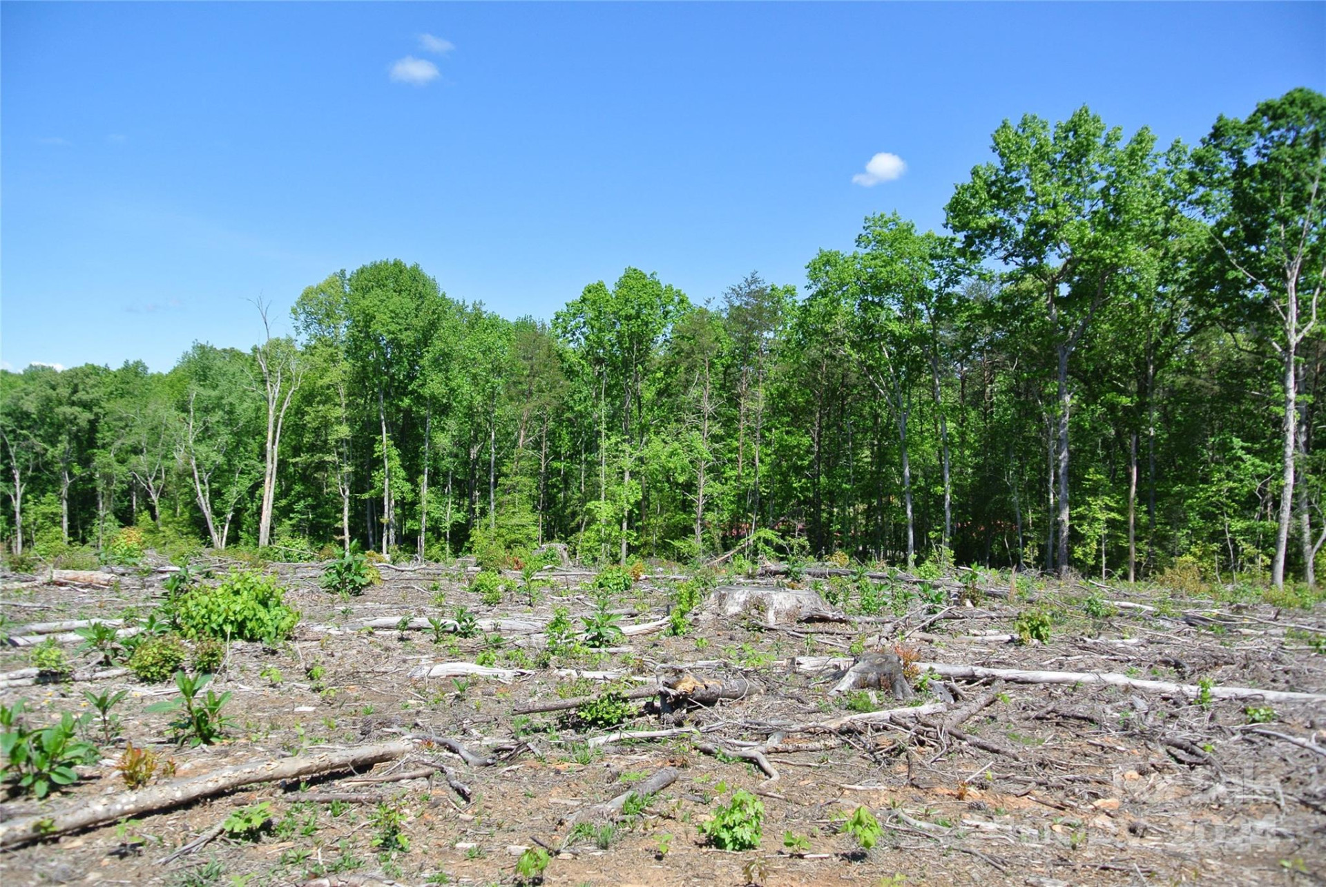 0 Hopper Road - Photo 16