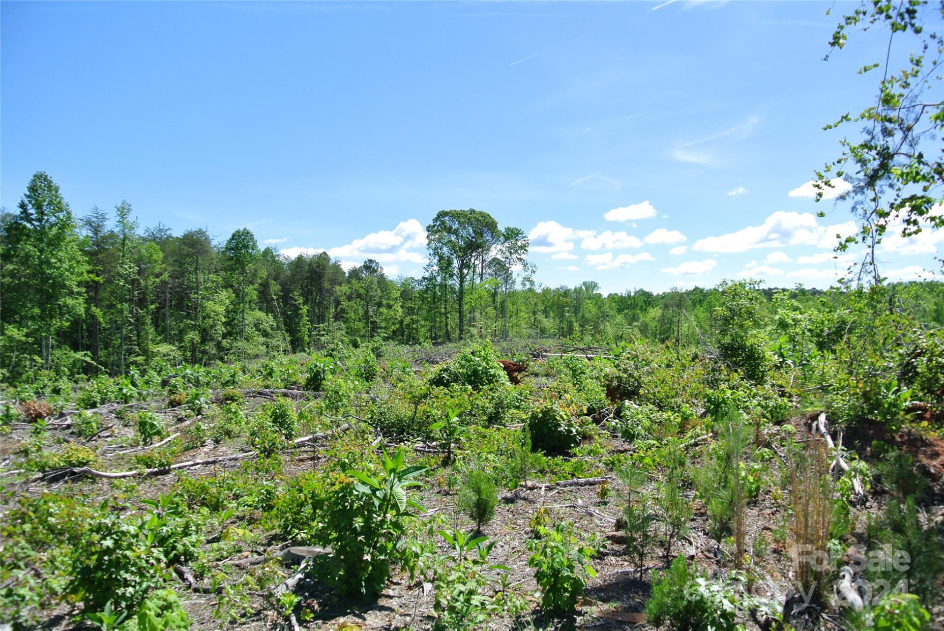 0 Hopper Road - Photo 17