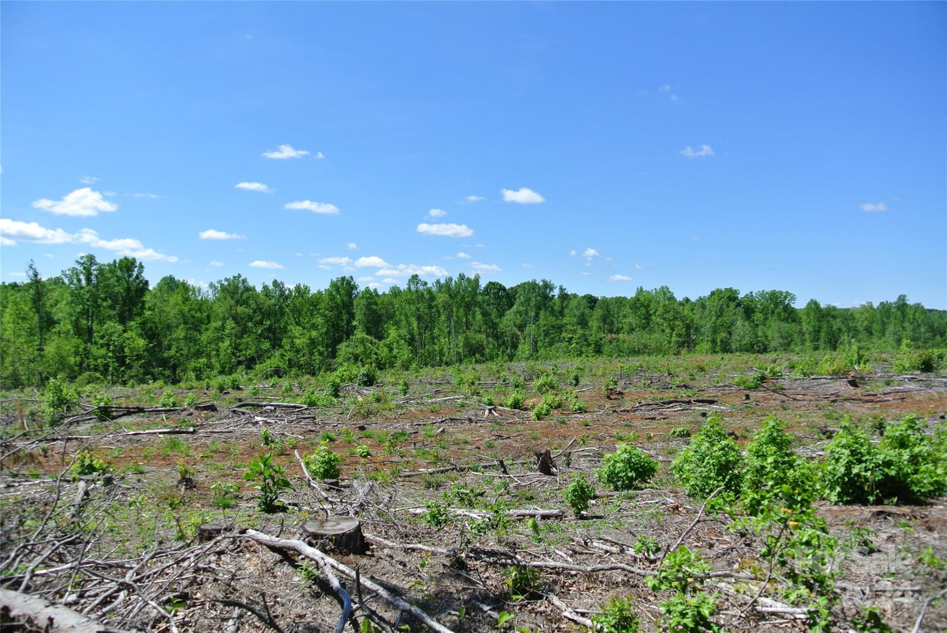 0 Hopper Road - Photo 18